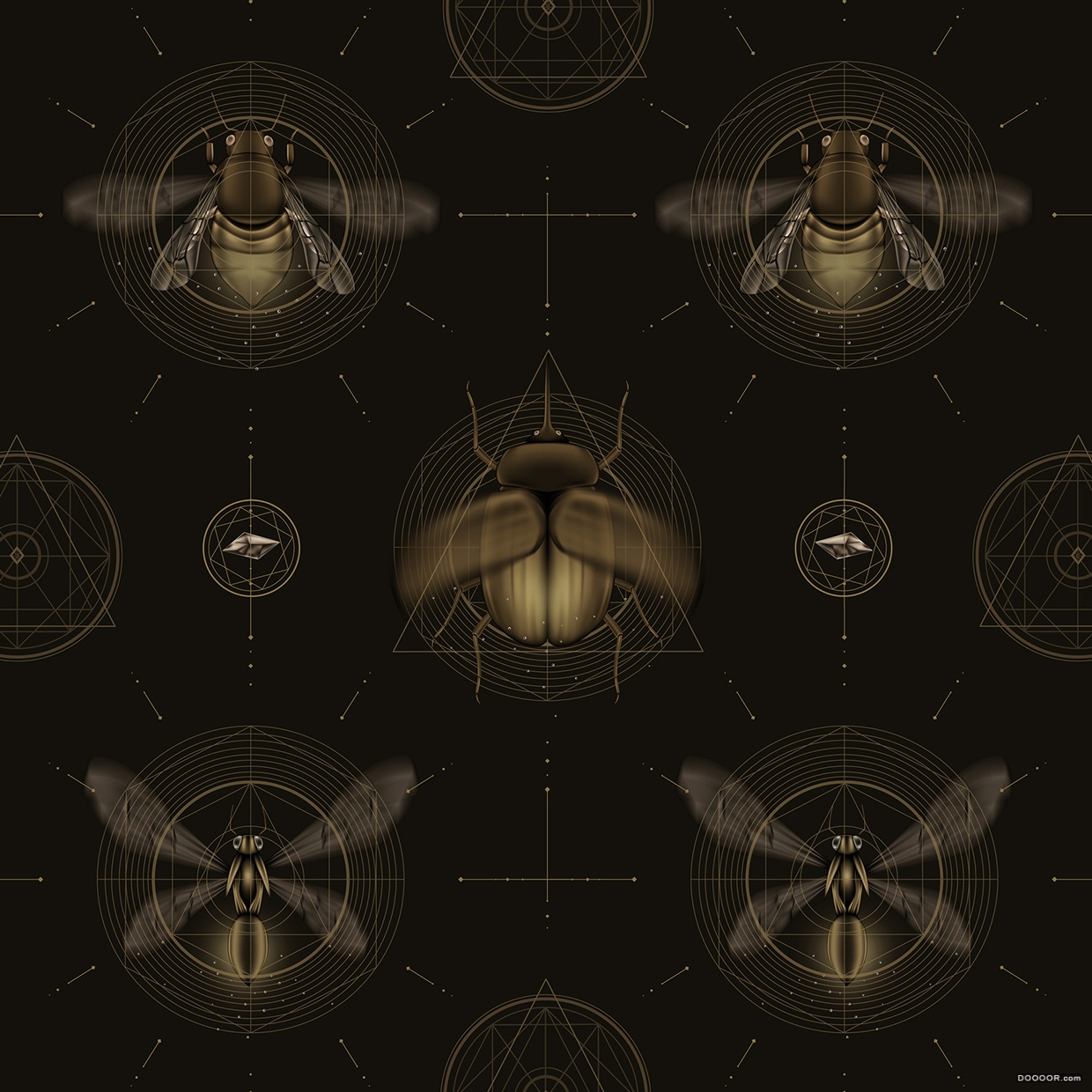 ALCHEMY CODES炼金密码 [8P] (7).jpg