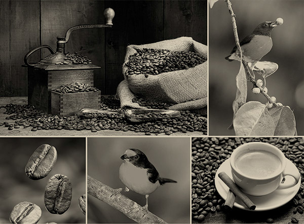 200 Years Coffee 品牌VI设计 [46P] (10).jpg