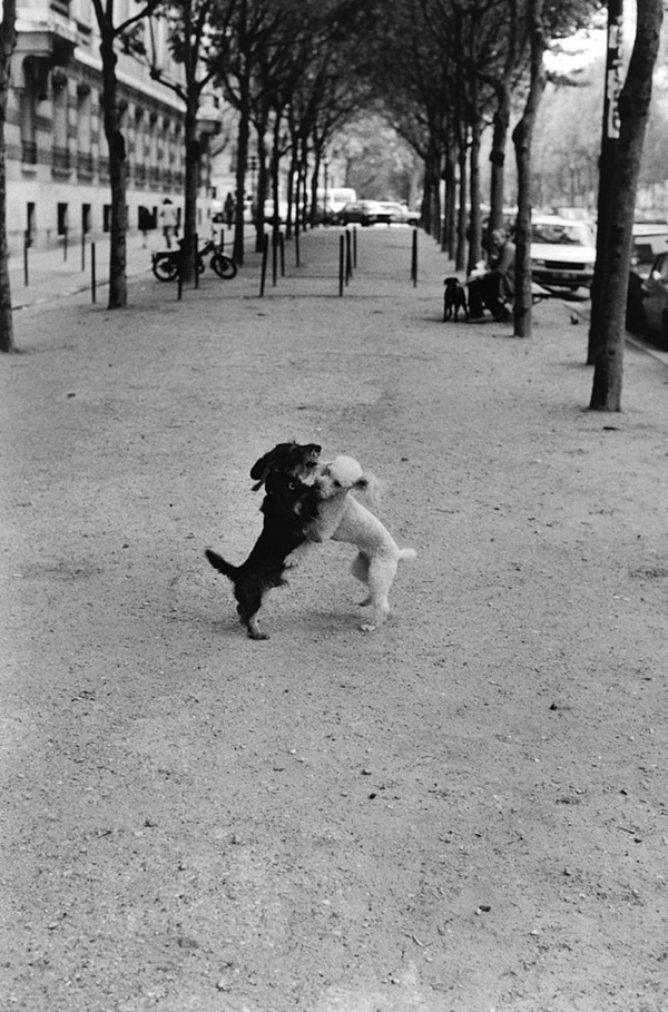 黑白细腻-浪漫法国法国-Peter Turnley摄影作品 [17P] (16).jpg