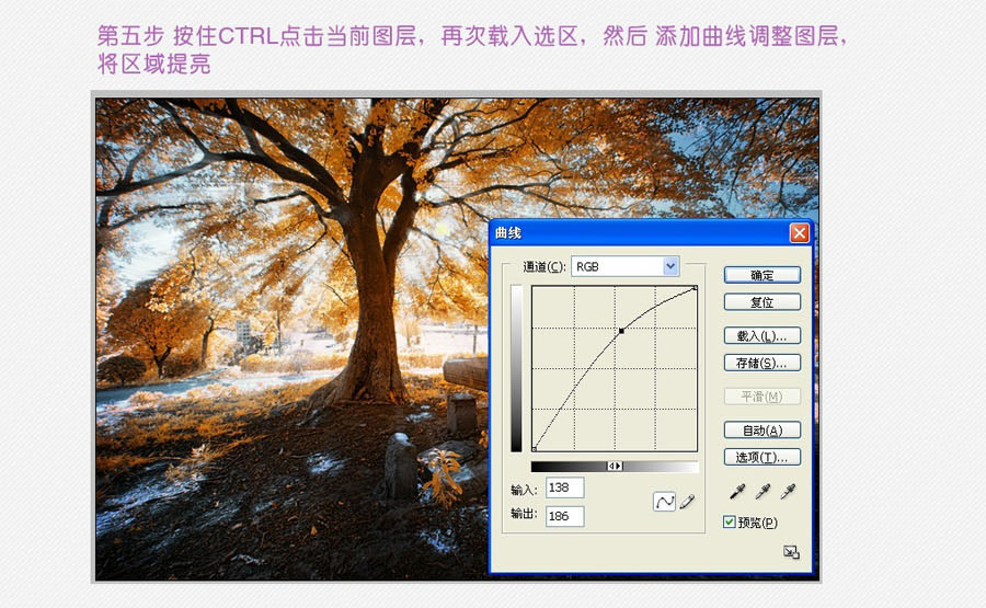 树的圣光-神奇的丁达尔效应PS制作教程 (6).jpg