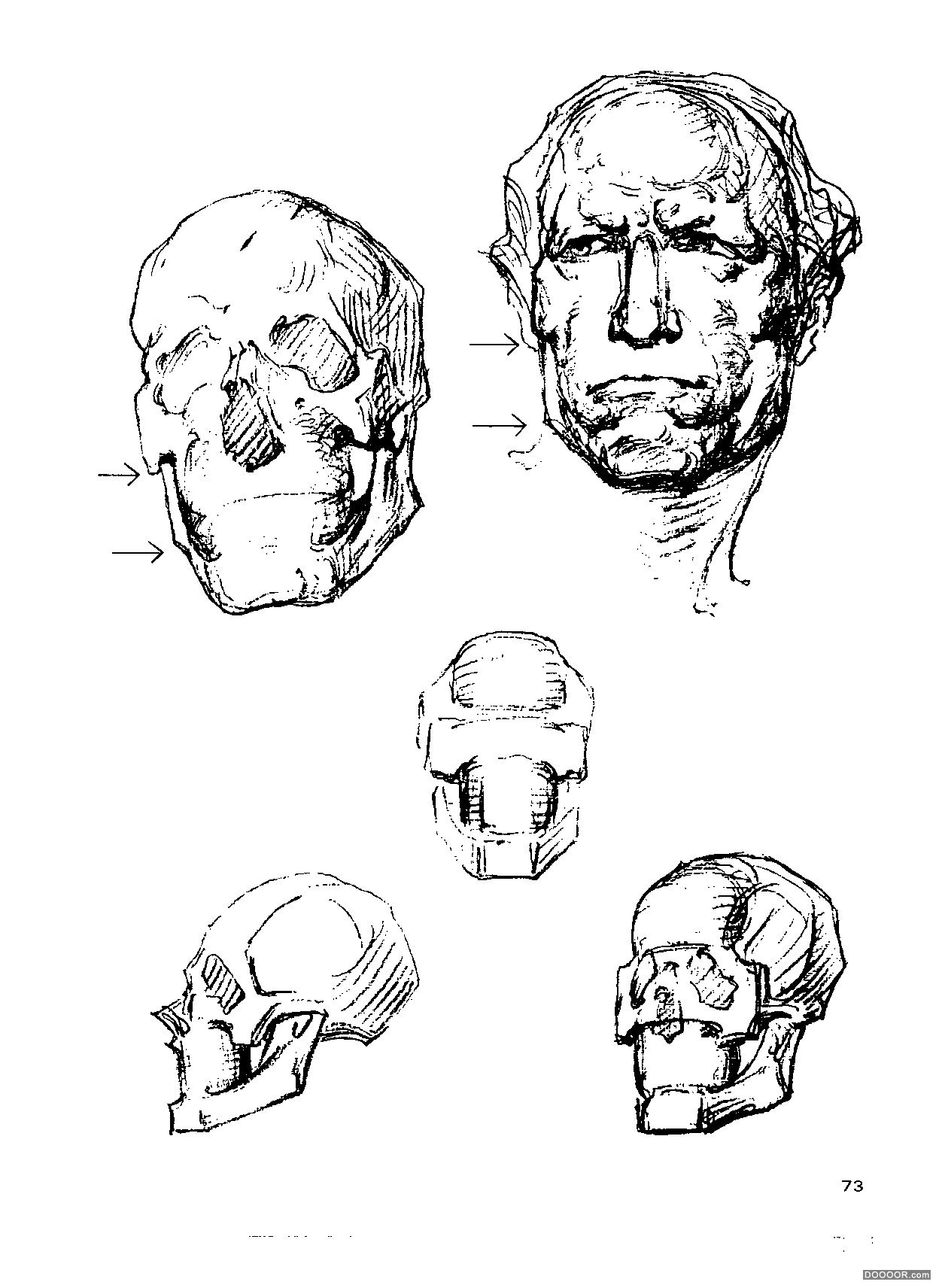 伯里曼人体结构绘画 (78).jpg