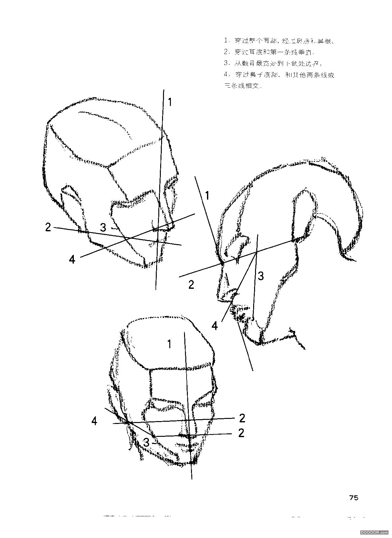 伯里曼人体结构绘画 (80).jpg