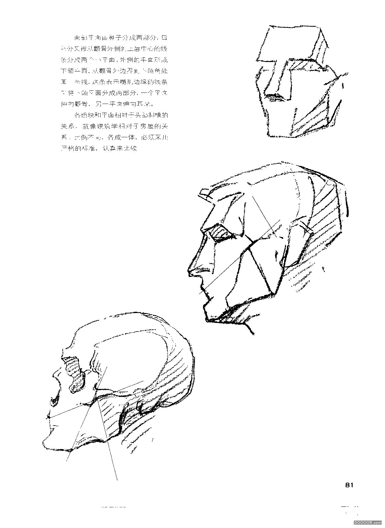 伯里曼人体结构绘画 (86).jpg