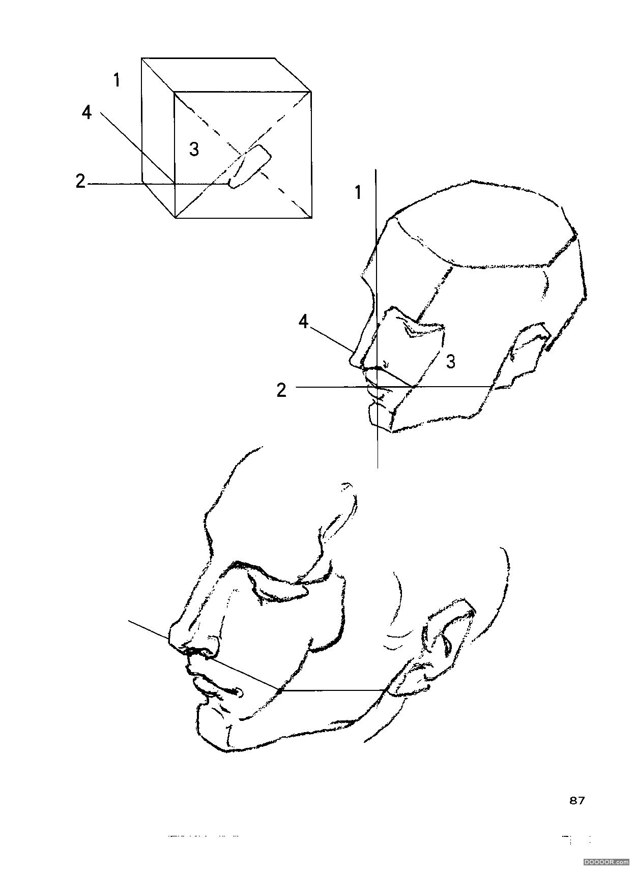 伯里曼人体结构绘画 (92).jpg