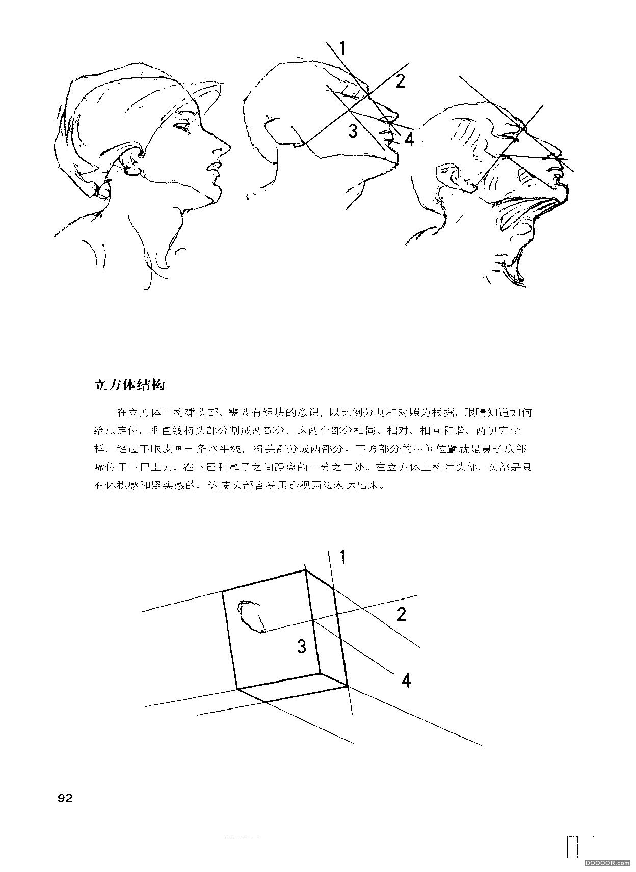 伯里曼人体结构绘画 (97).jpg