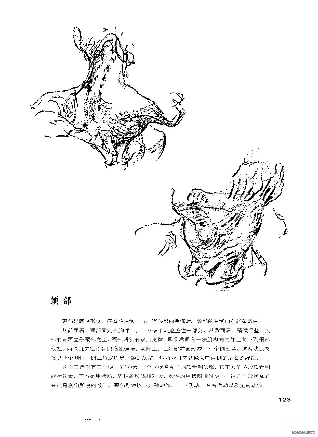 伯里曼人体结构绘画 (128).jpg