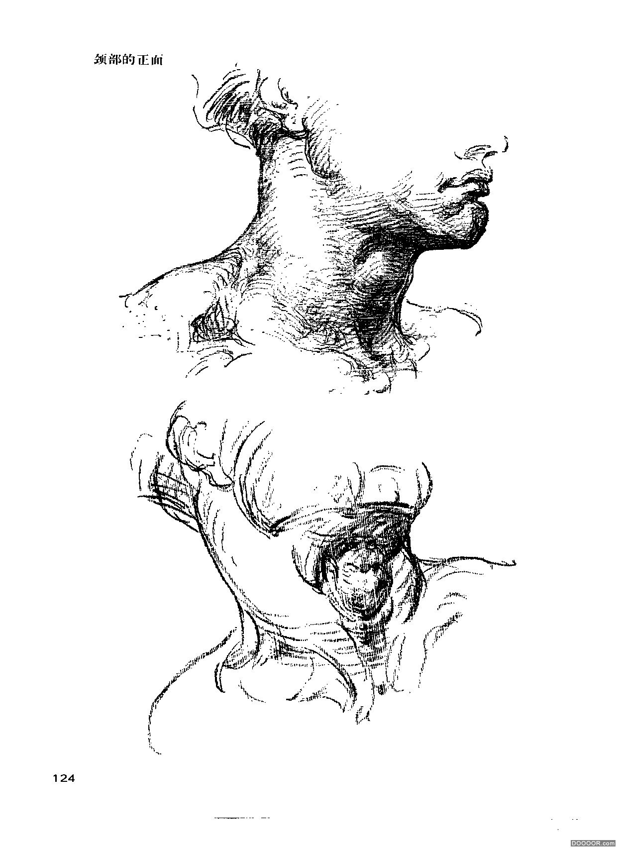 伯里曼人体结构绘画 (129).jpg