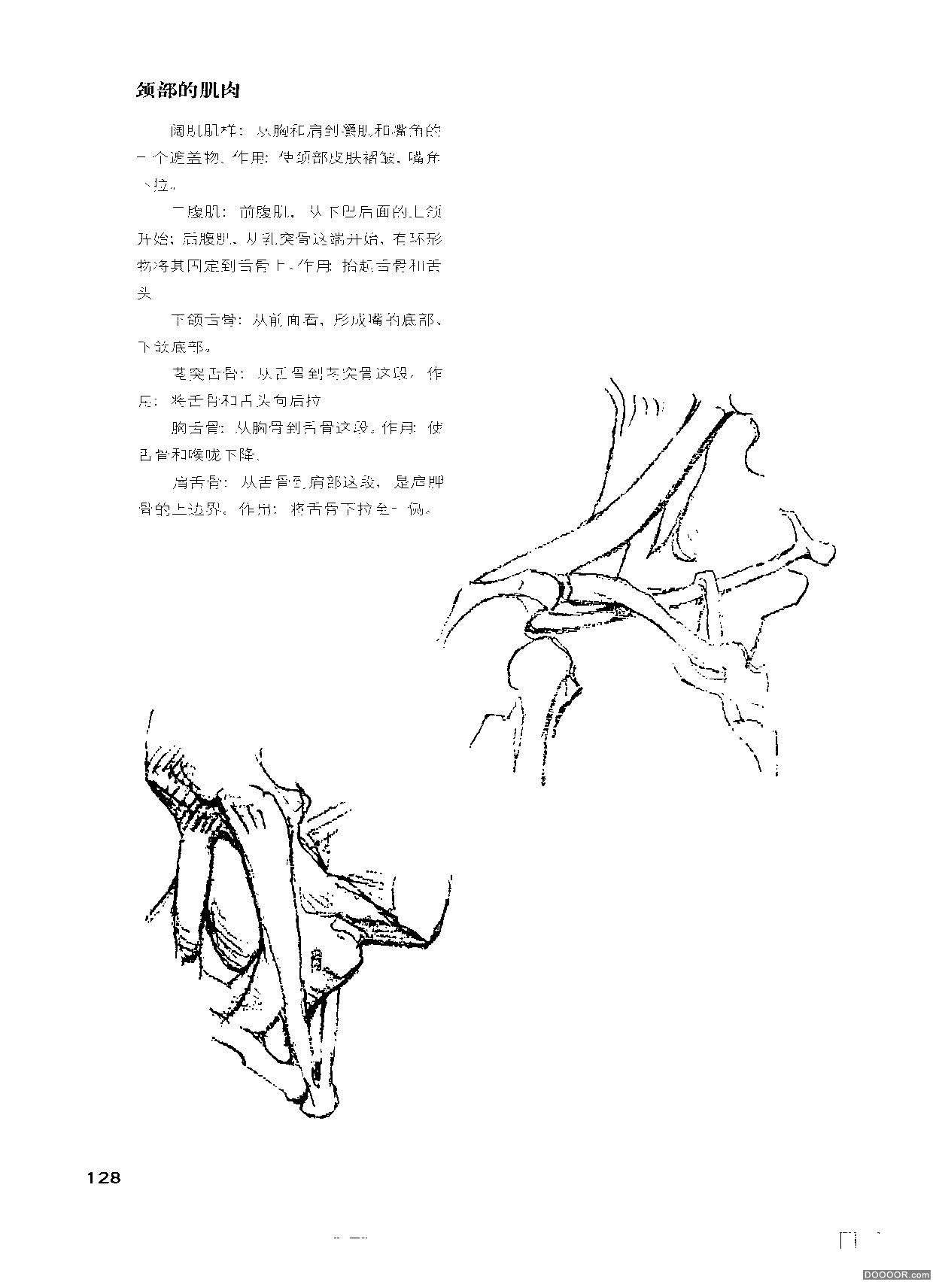 伯里曼人体结构绘画 (133).jpg