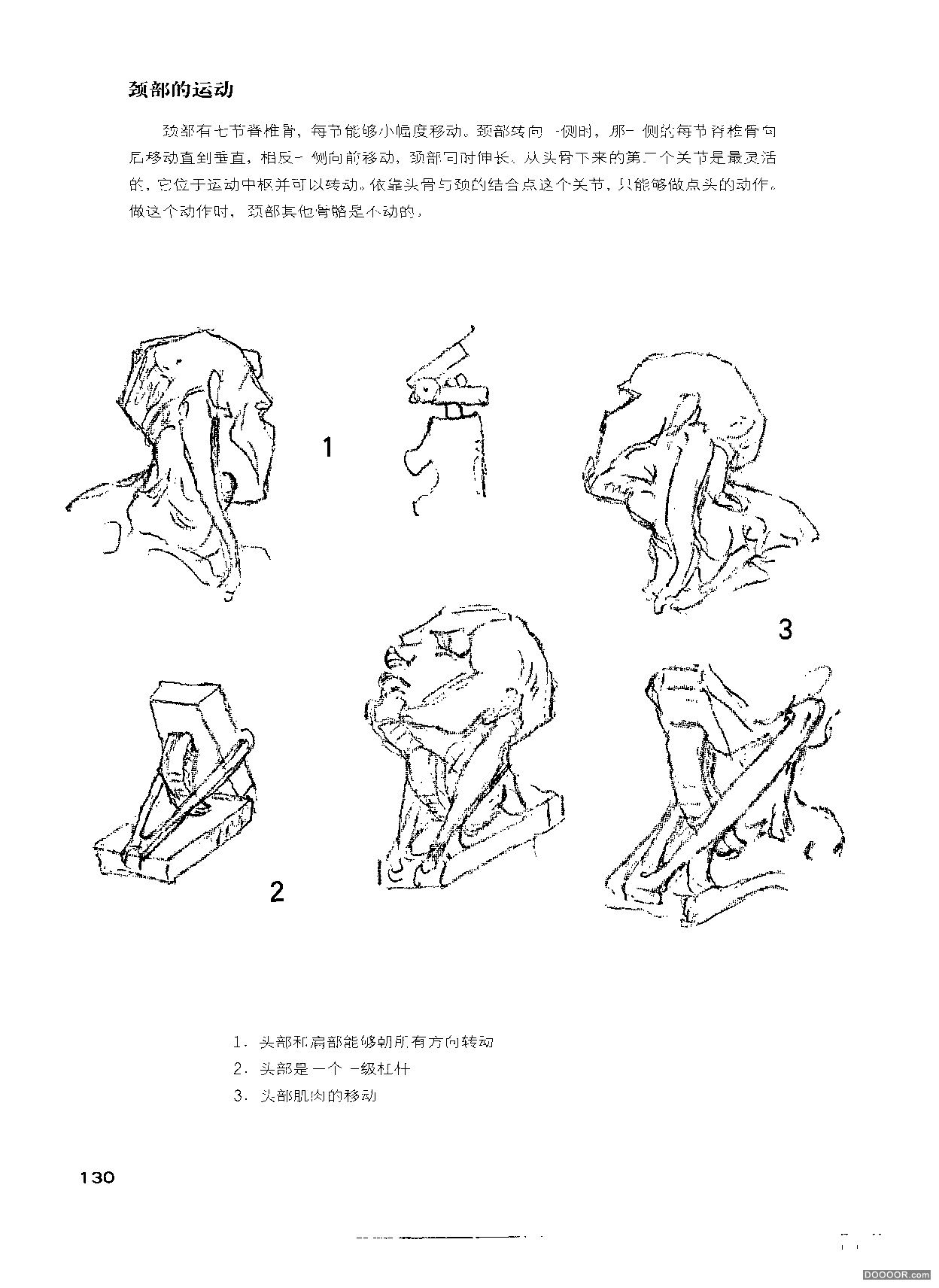 伯里曼人体结构绘画 (135).jpg