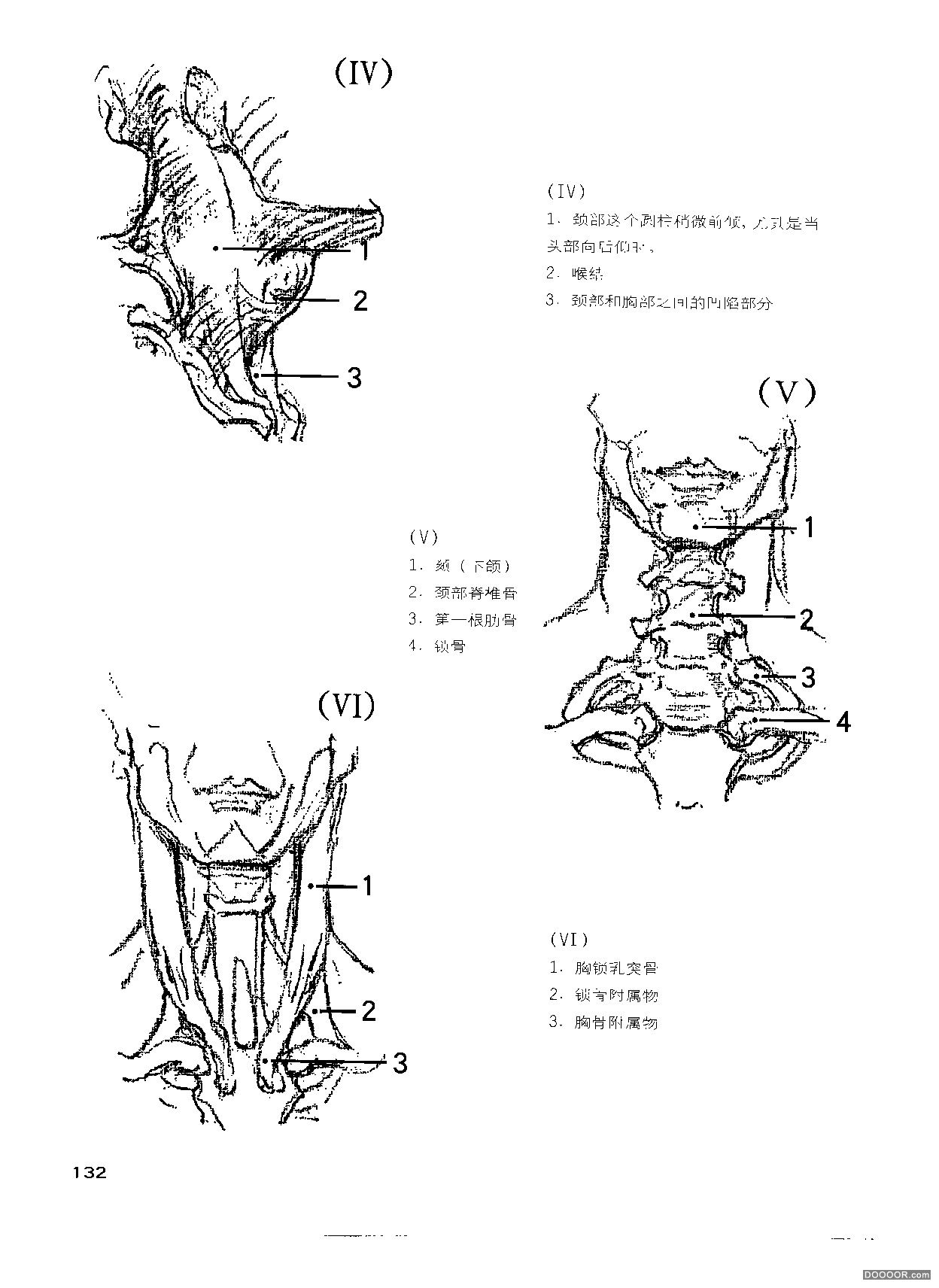 伯里曼人体结构绘画 (137).jpg