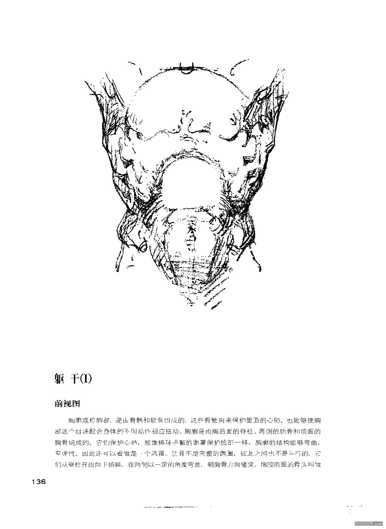 伯里曼人体结构绘画 (141).jpg