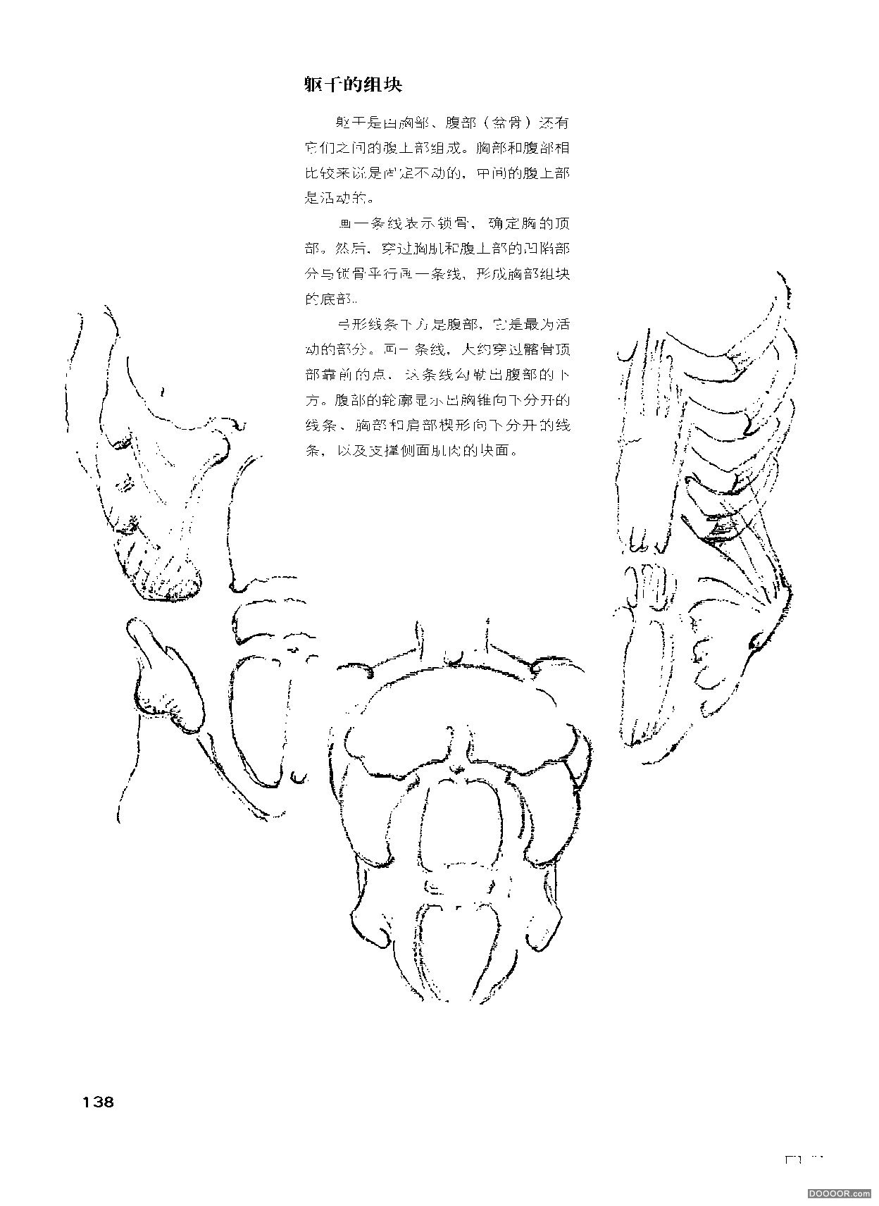 伯里曼人体结构绘画 (143).jpg