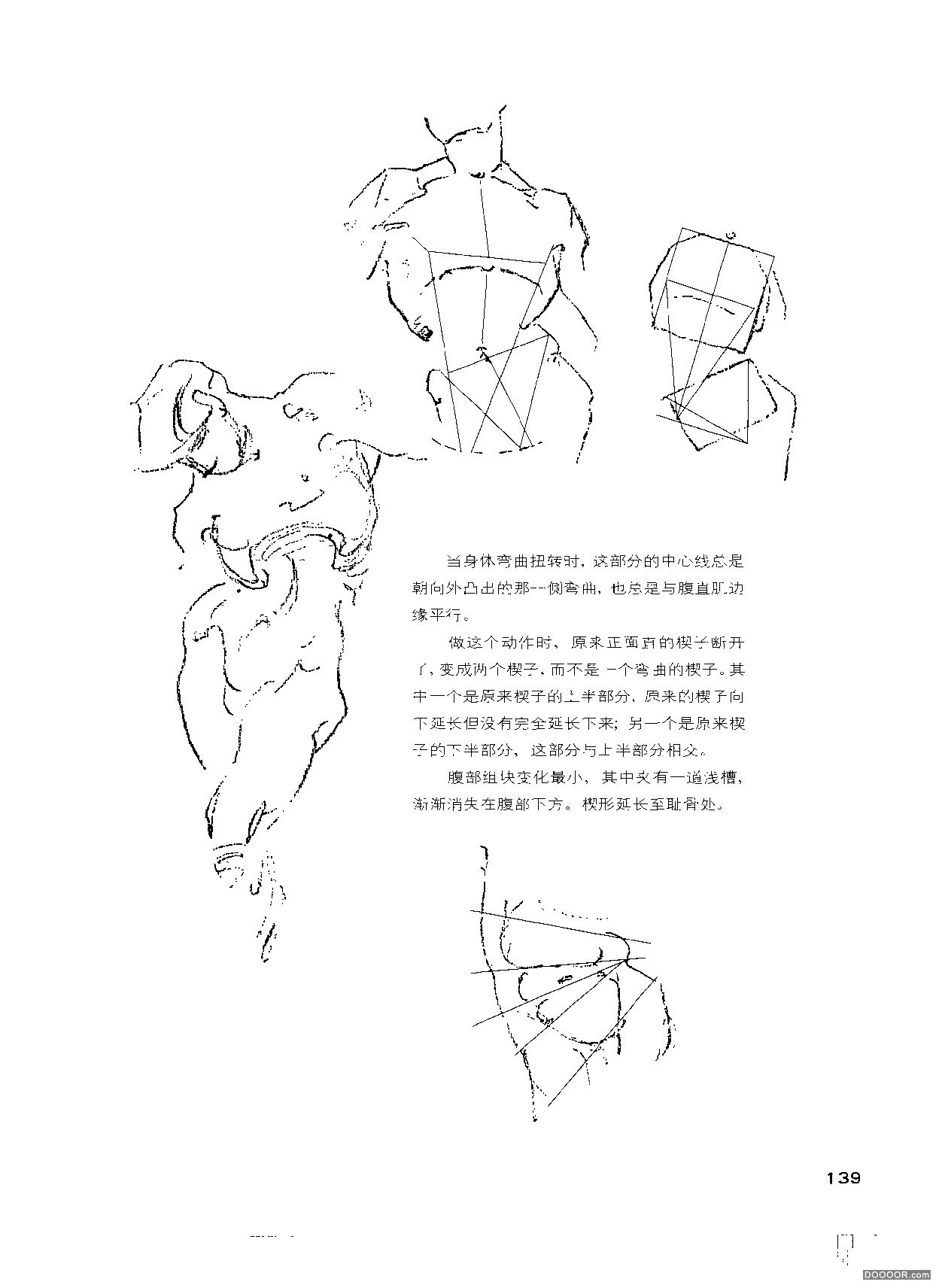 伯里曼人体结构绘画 (144).jpg