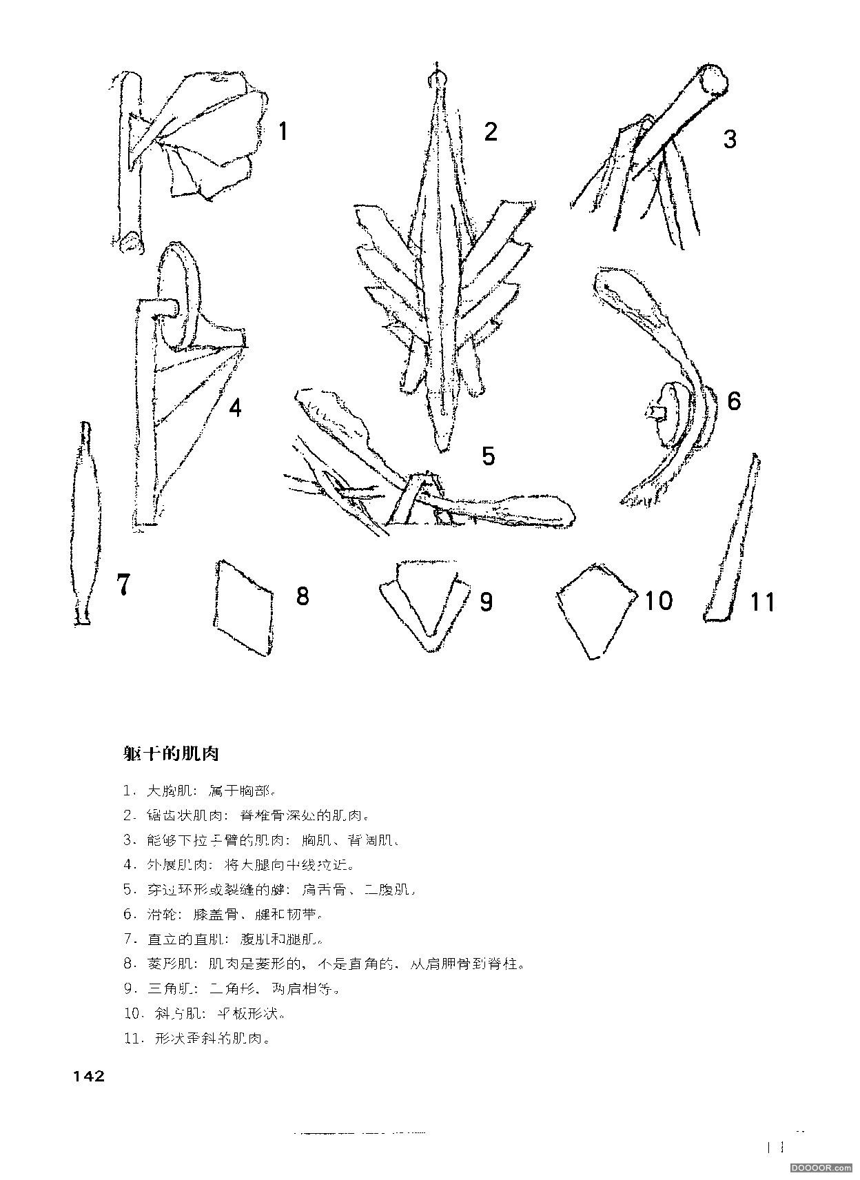 伯里曼人体结构绘画 (147).jpg