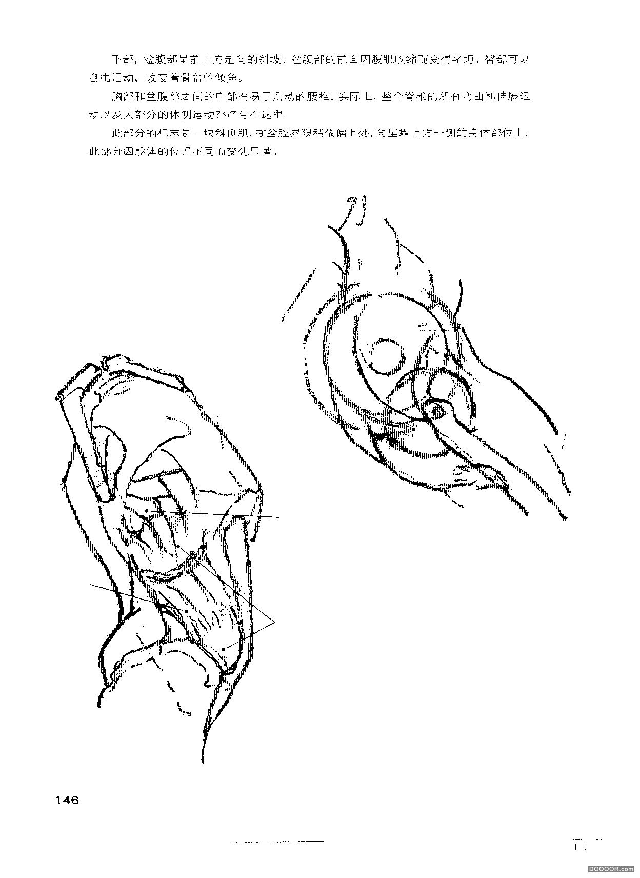 伯里曼人体结构绘画 (151).jpg