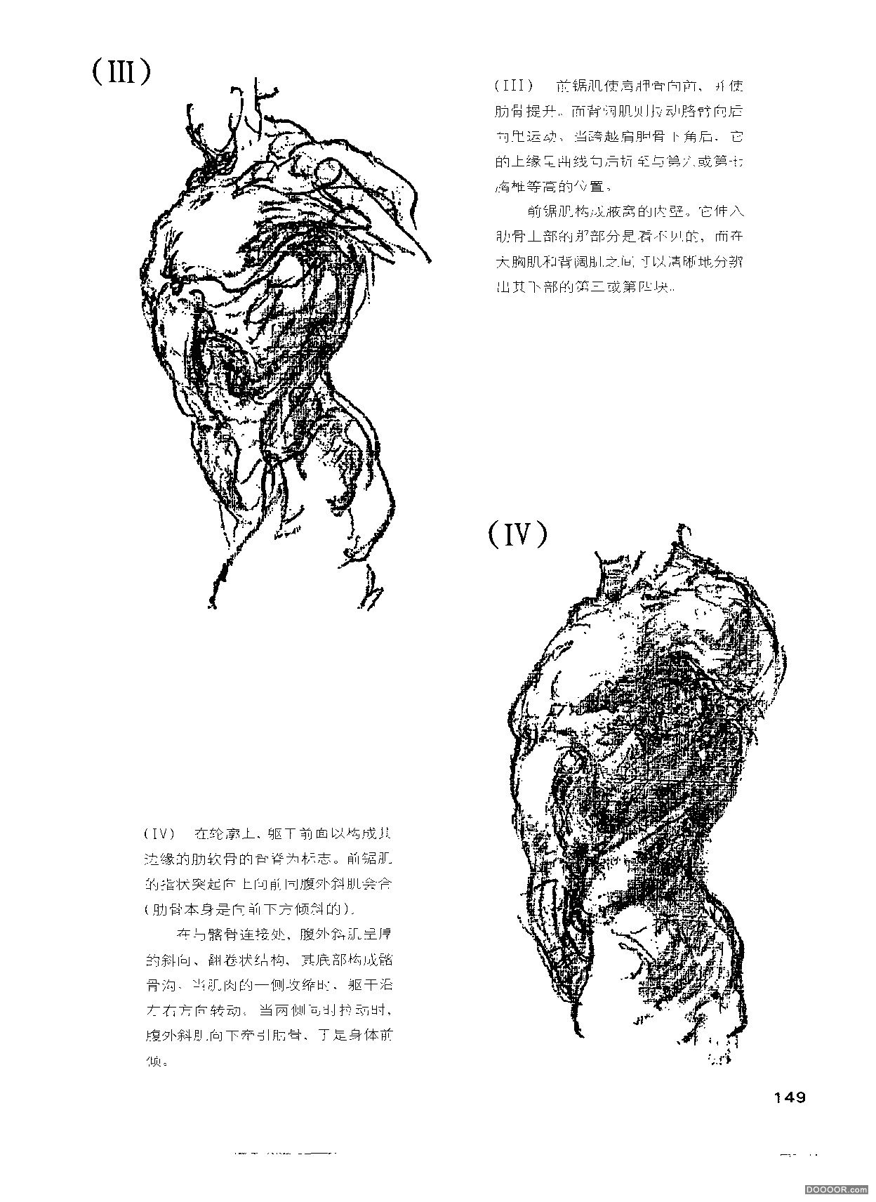 伯里曼人体结构绘画 (154).jpg