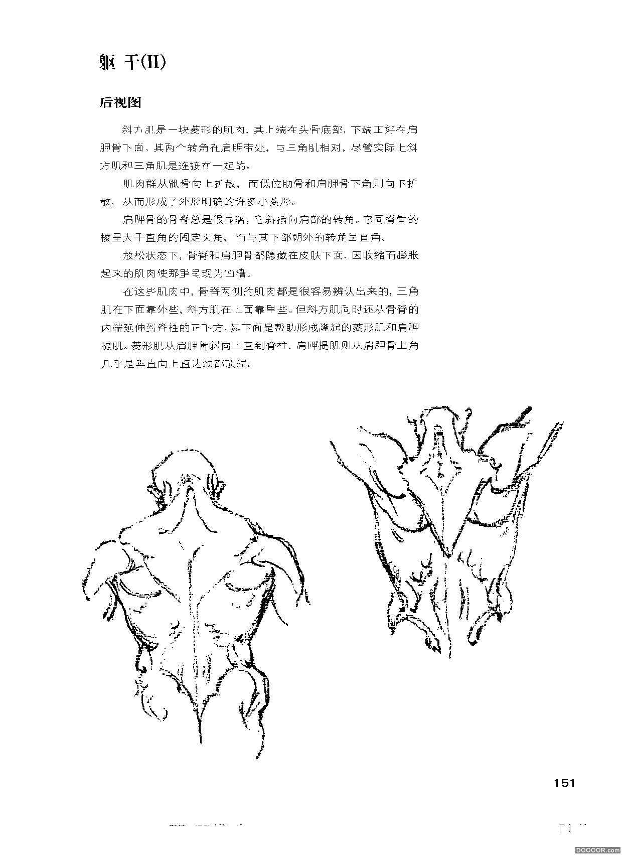 伯里曼人体结构绘画 (156).jpg