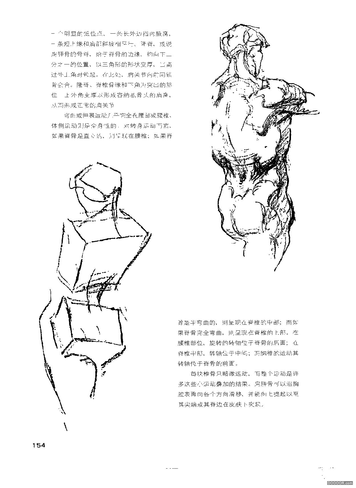 伯里曼人体结构绘画 (159).jpg