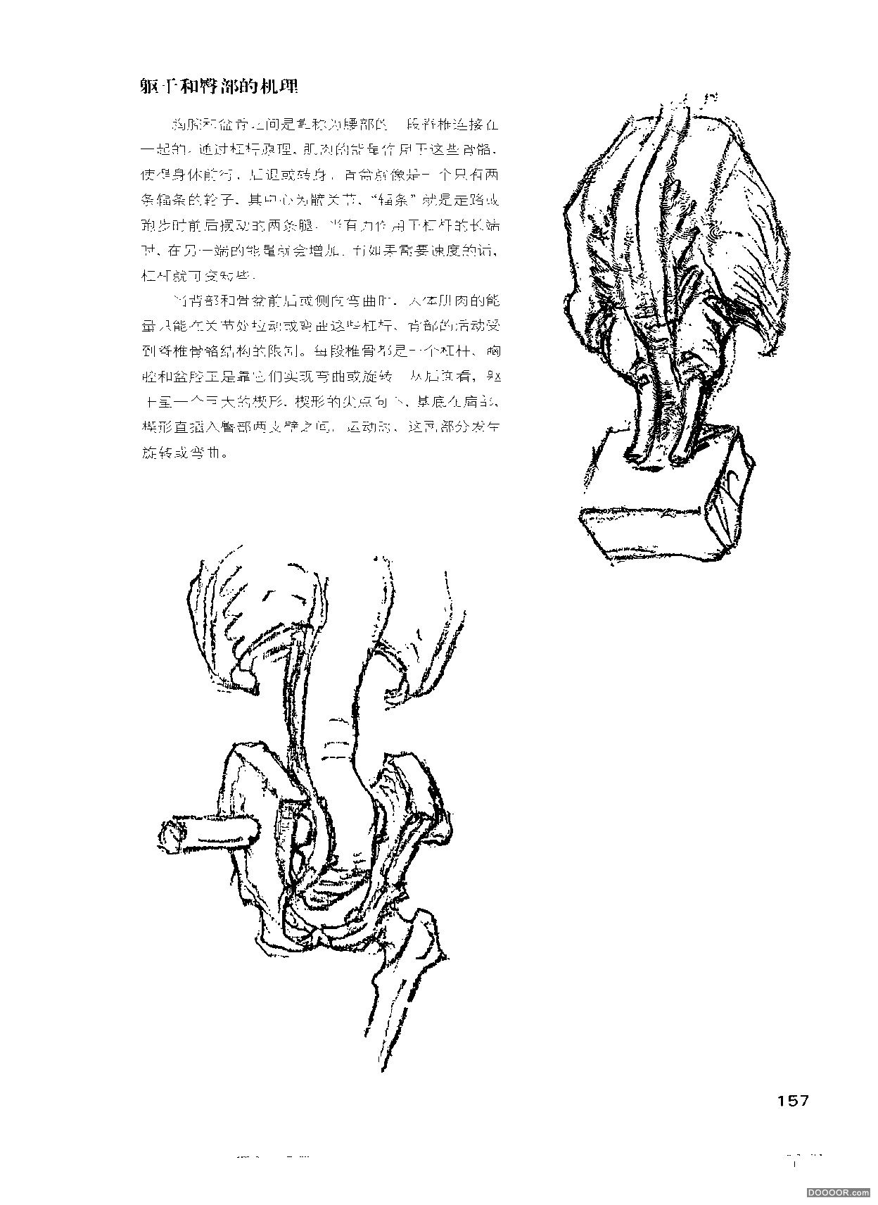 伯里曼人体结构绘画 (162).jpg