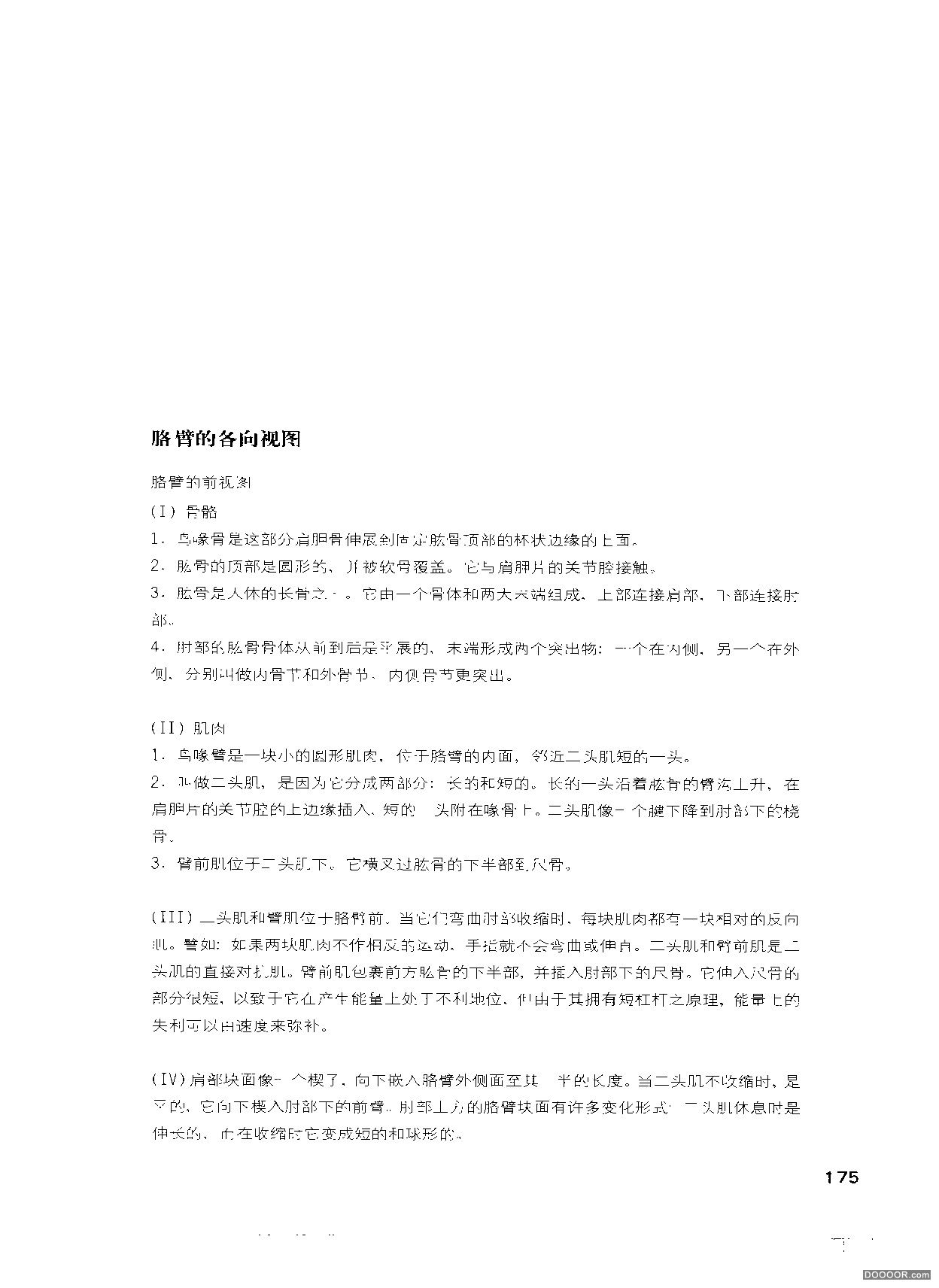 伯里曼人体结构绘画 (180).jpg