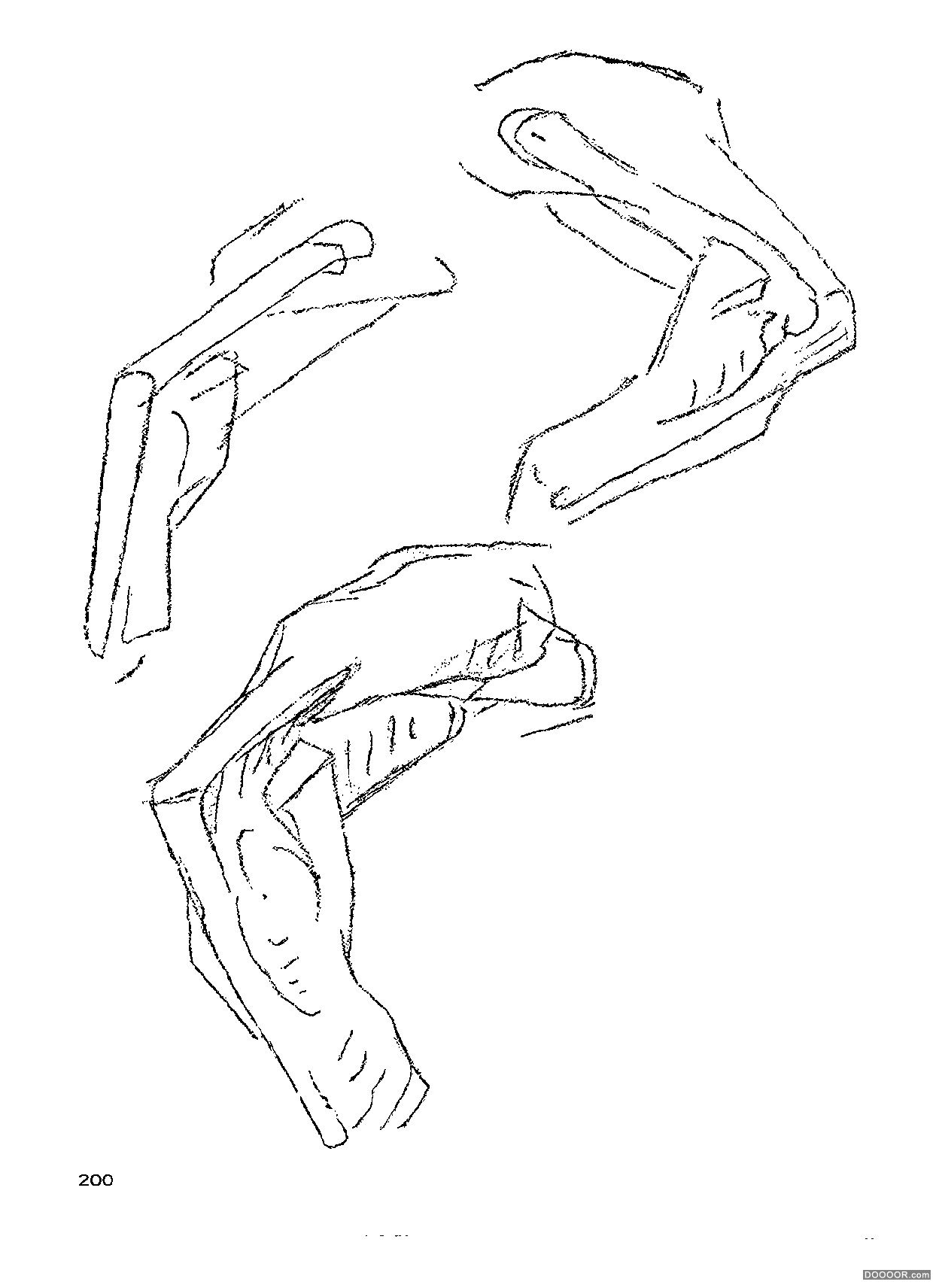 伯里曼人体结构绘画 (205).jpg