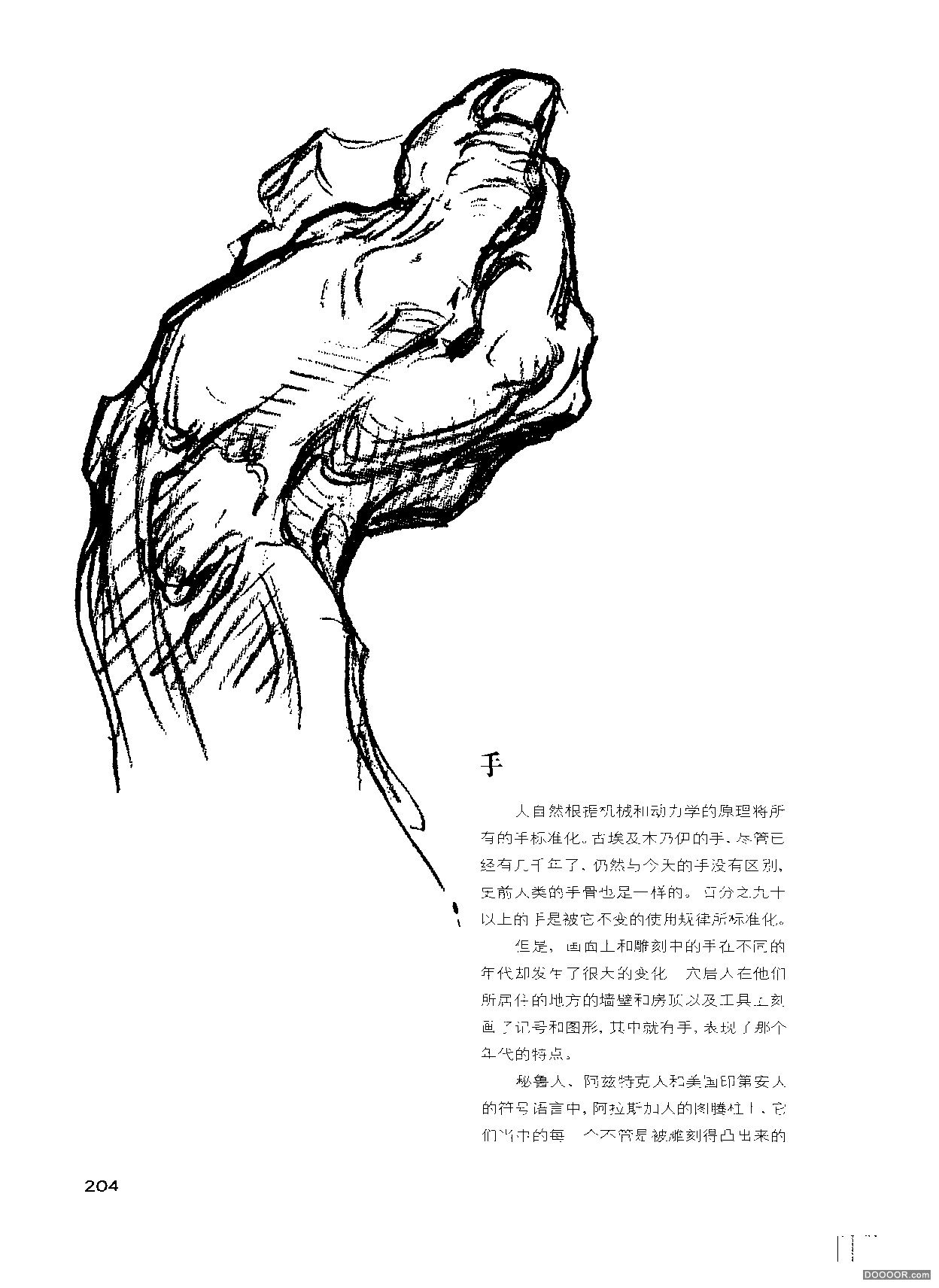 伯里曼人体结构绘画 (209).jpg