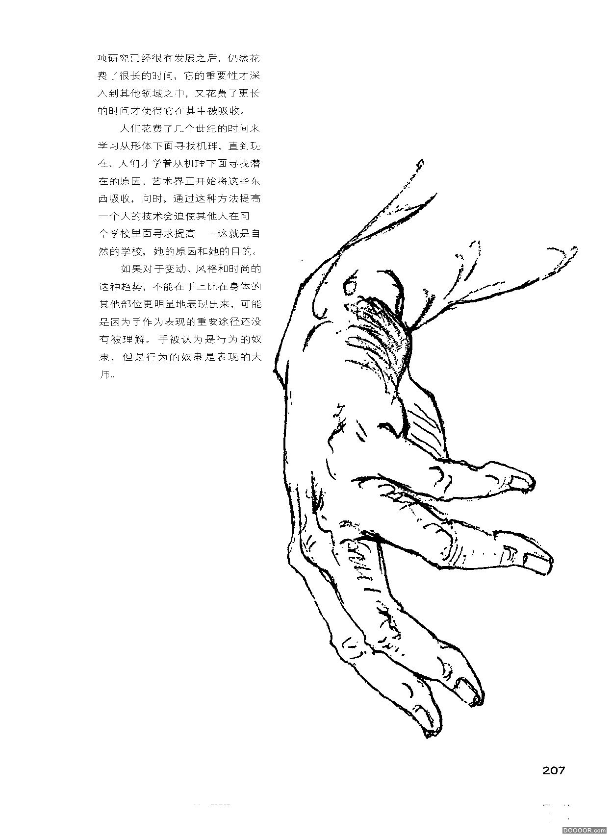 伯里曼人体结构绘画 (212).jpg
