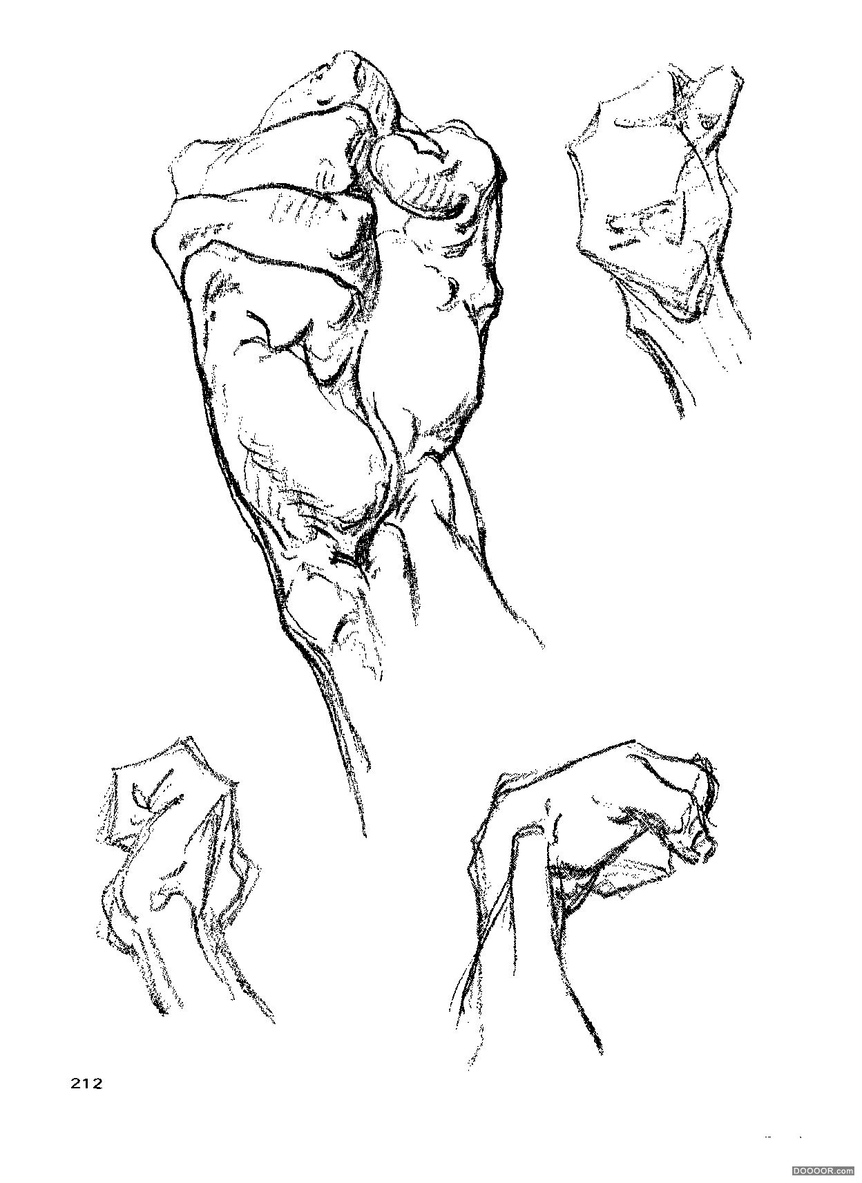 伯里曼人体结构绘画 (216).jpg