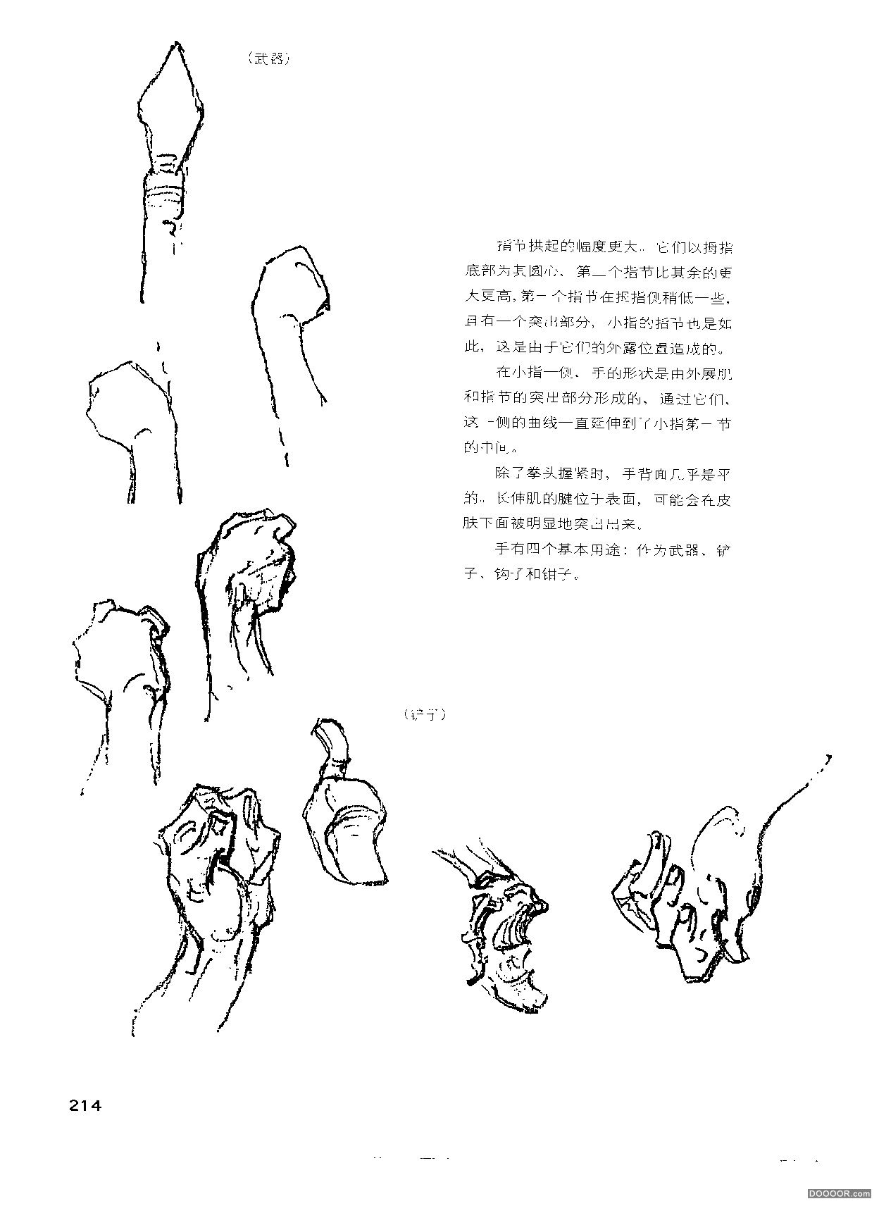 伯里曼人体结构绘画 (218).jpg