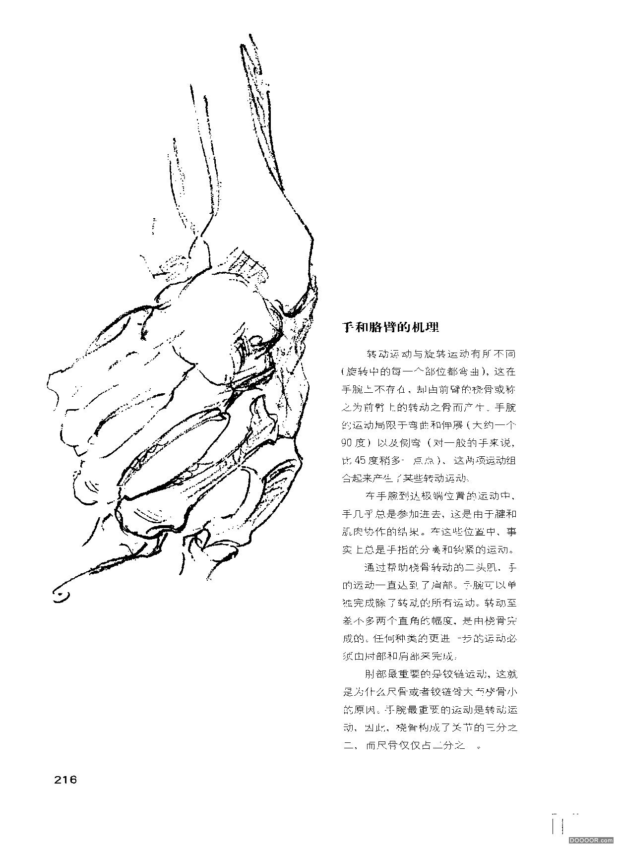 伯里曼人体结构绘画 (220).jpg