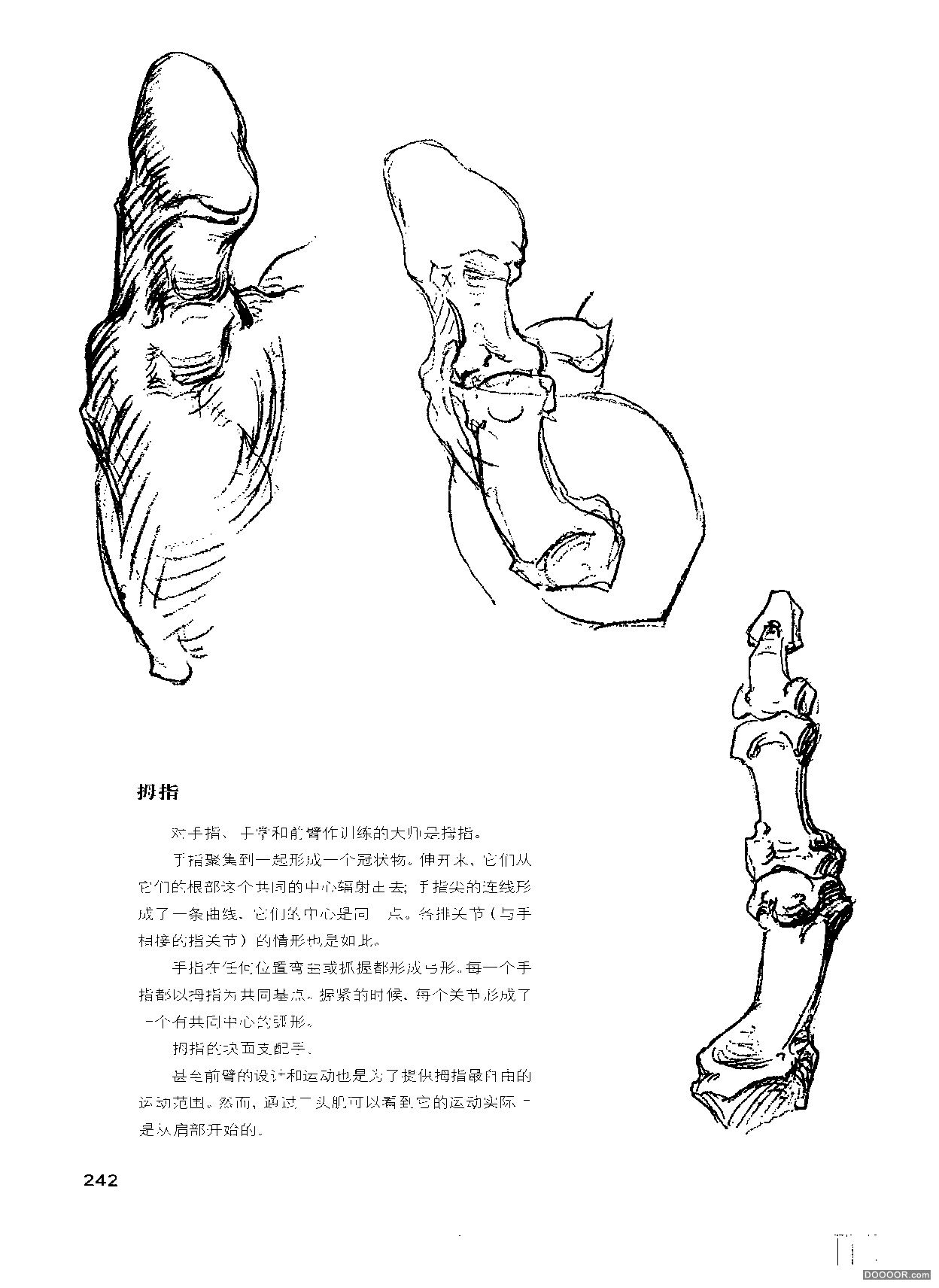 伯里曼人体结构绘画 (246).jpg