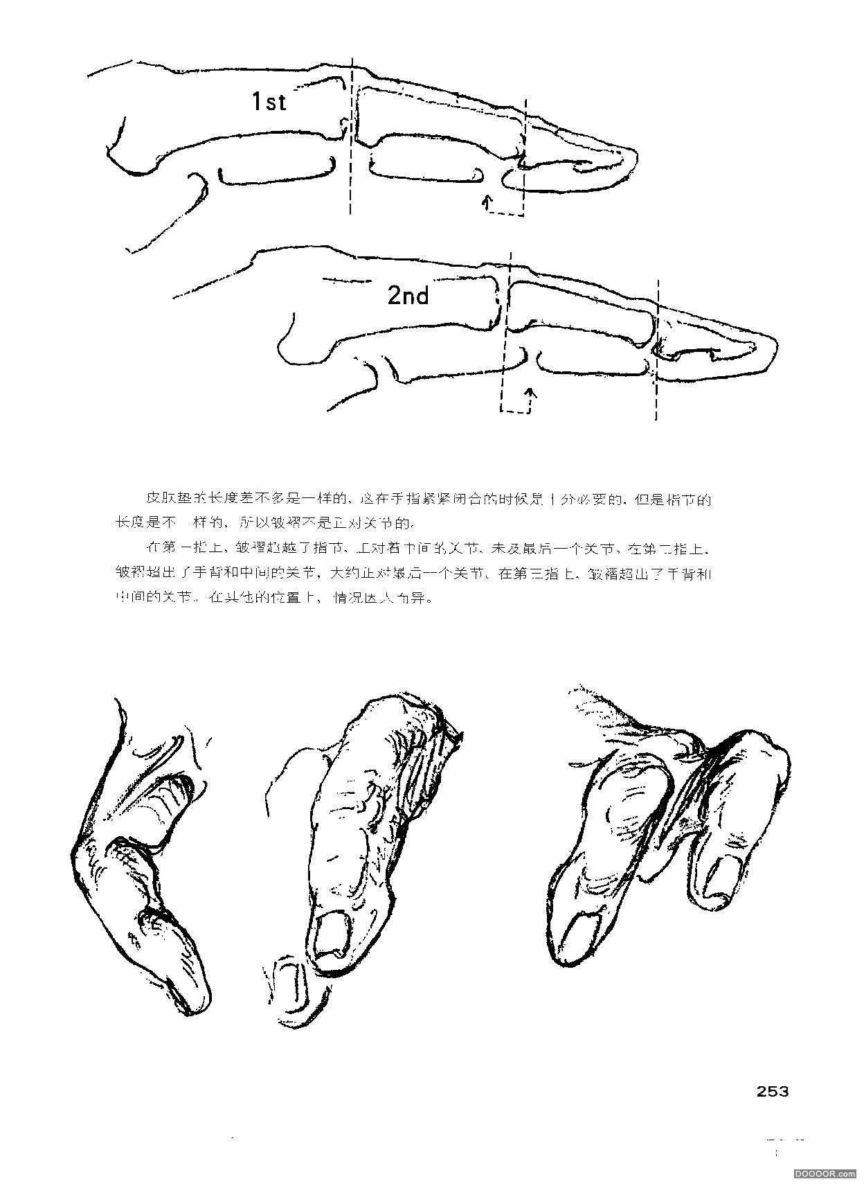 伯里曼人体结构绘画 (257).jpg