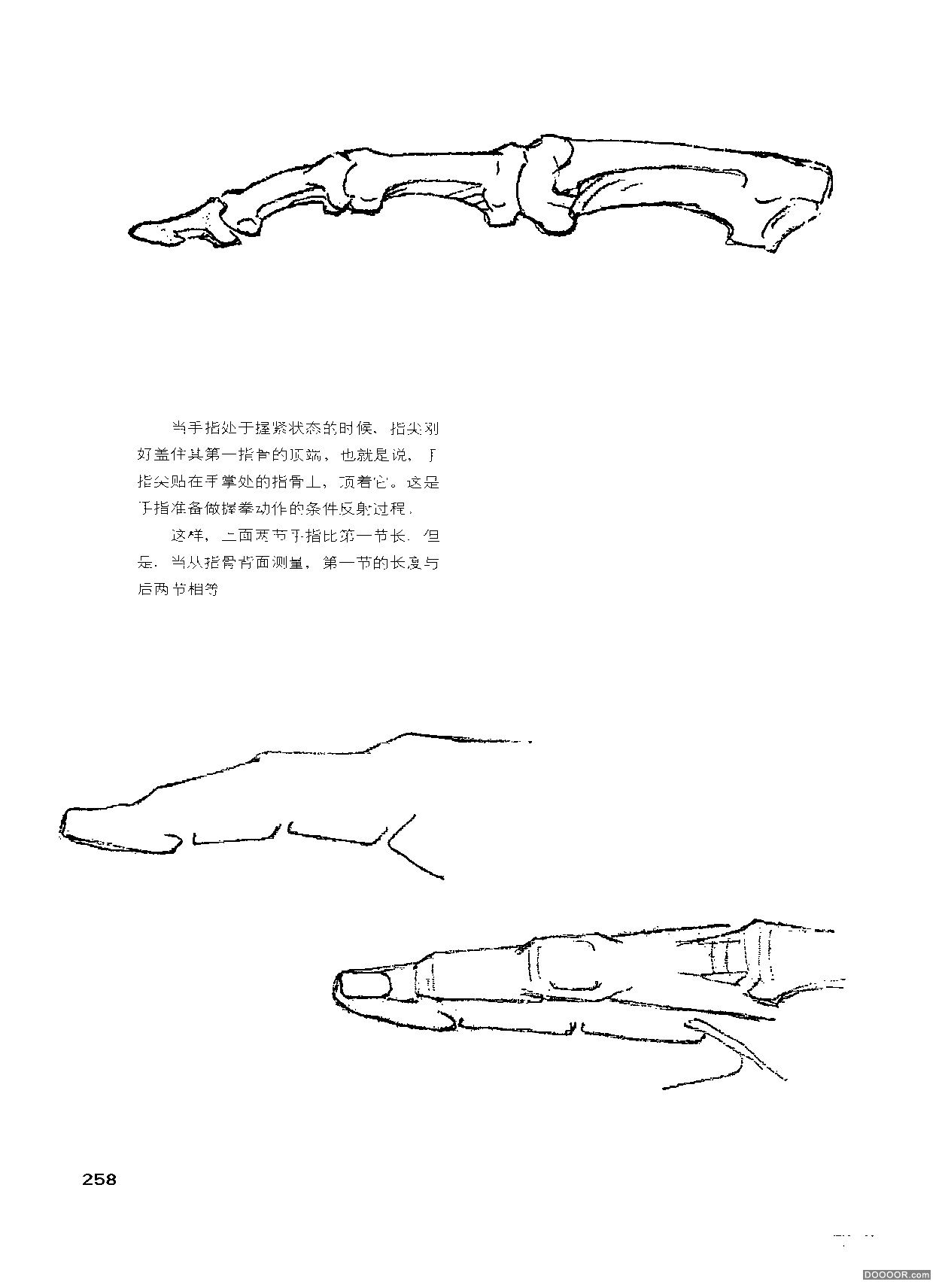 伯里曼人体结构绘画 (262).jpg