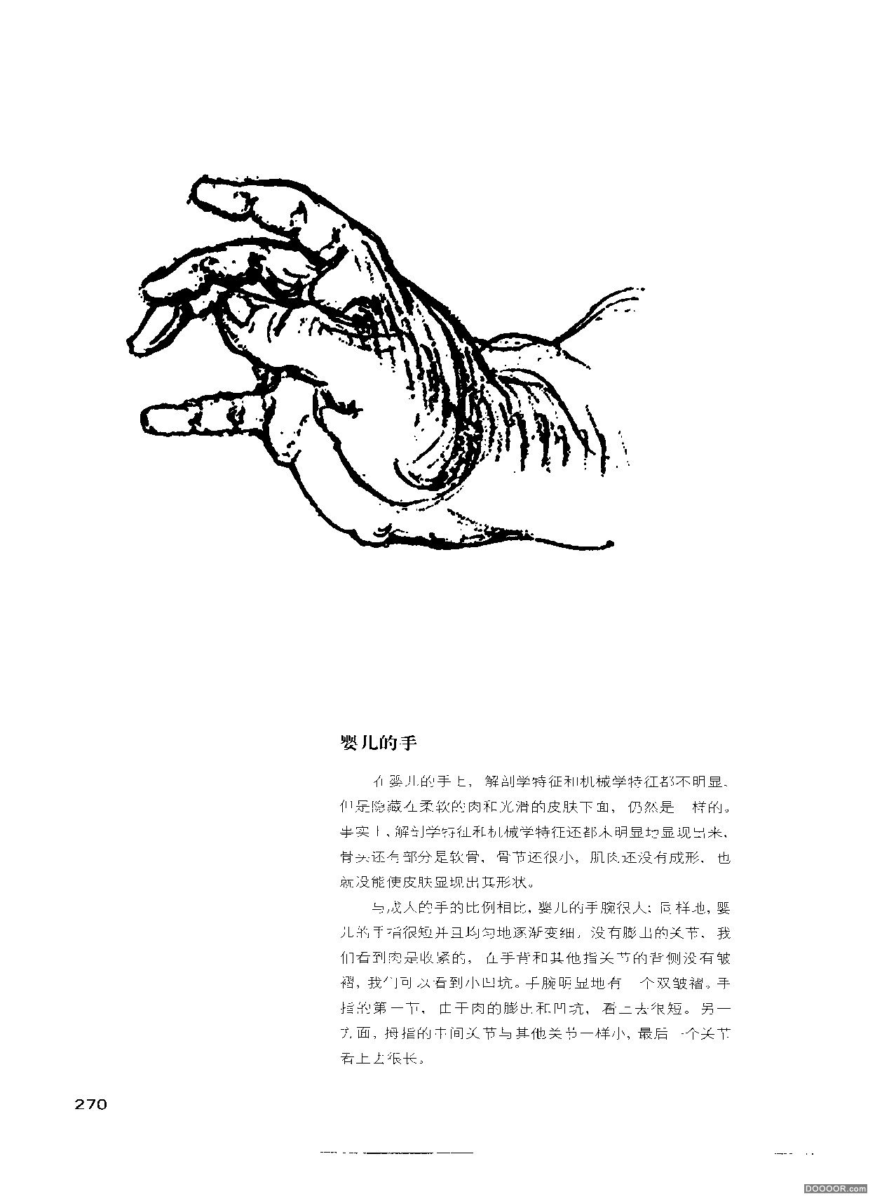 伯里曼人体结构绘画 (274).jpg