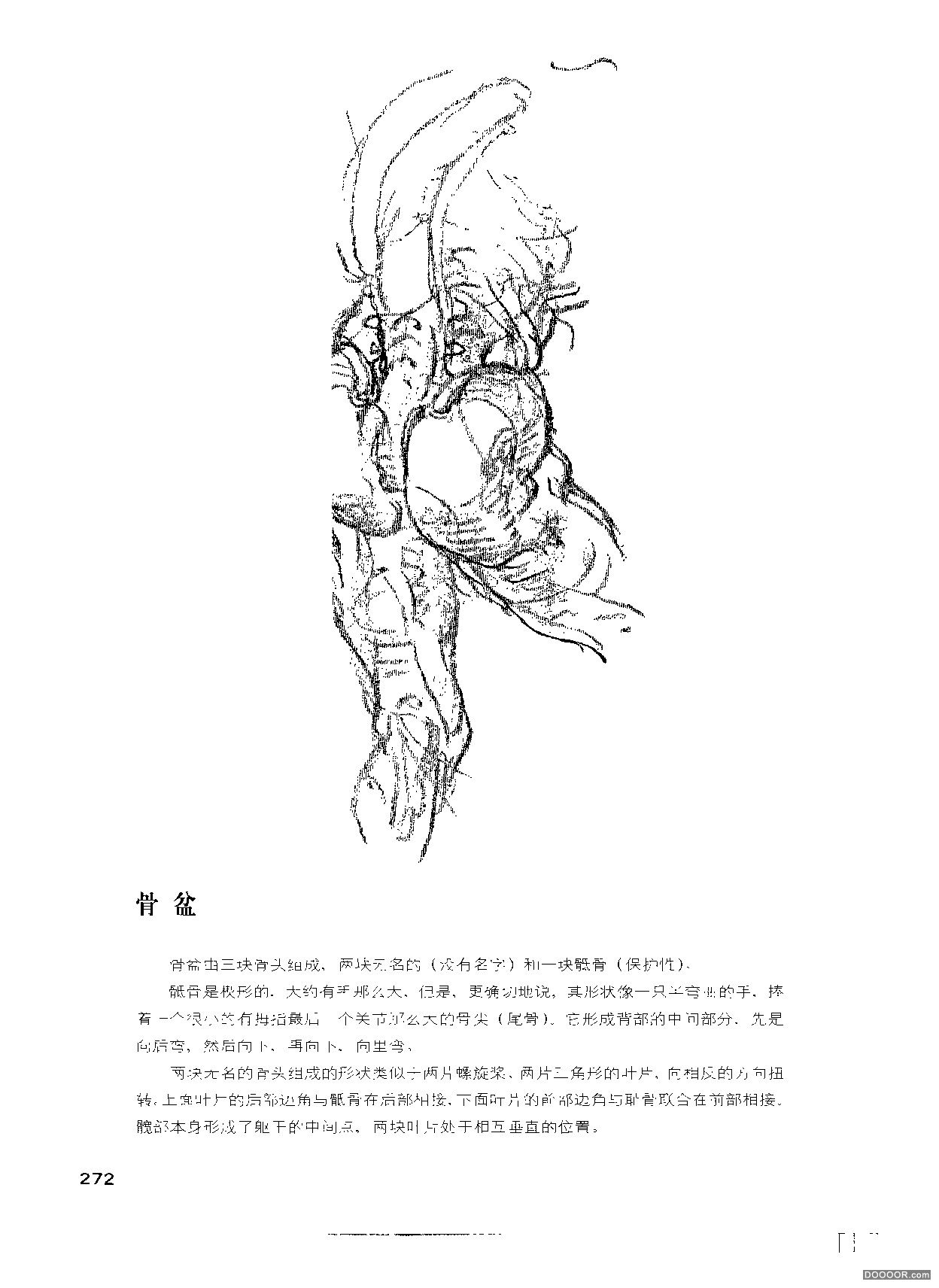 伯里曼人体结构绘画 (276).jpg