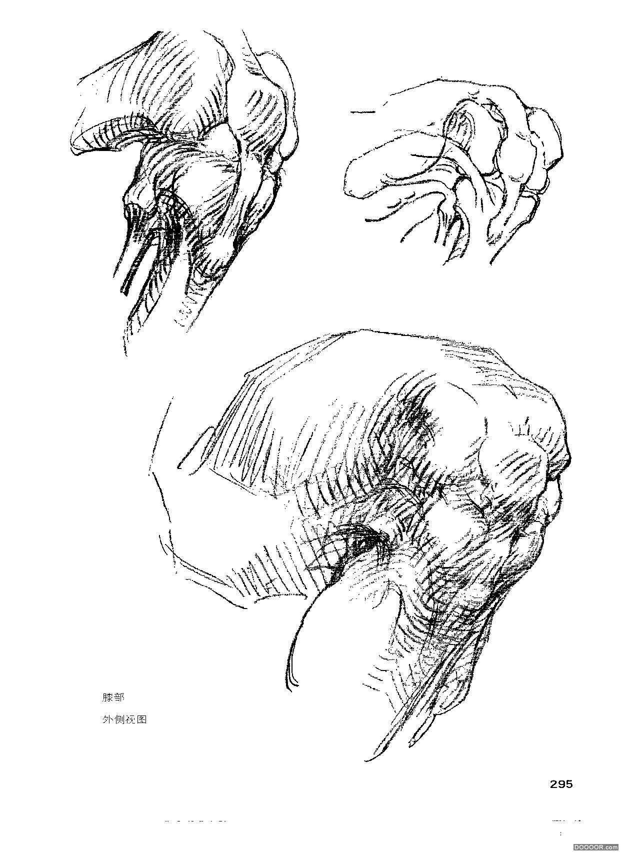 伯裡曼人體結構繪畫 (298).jpg