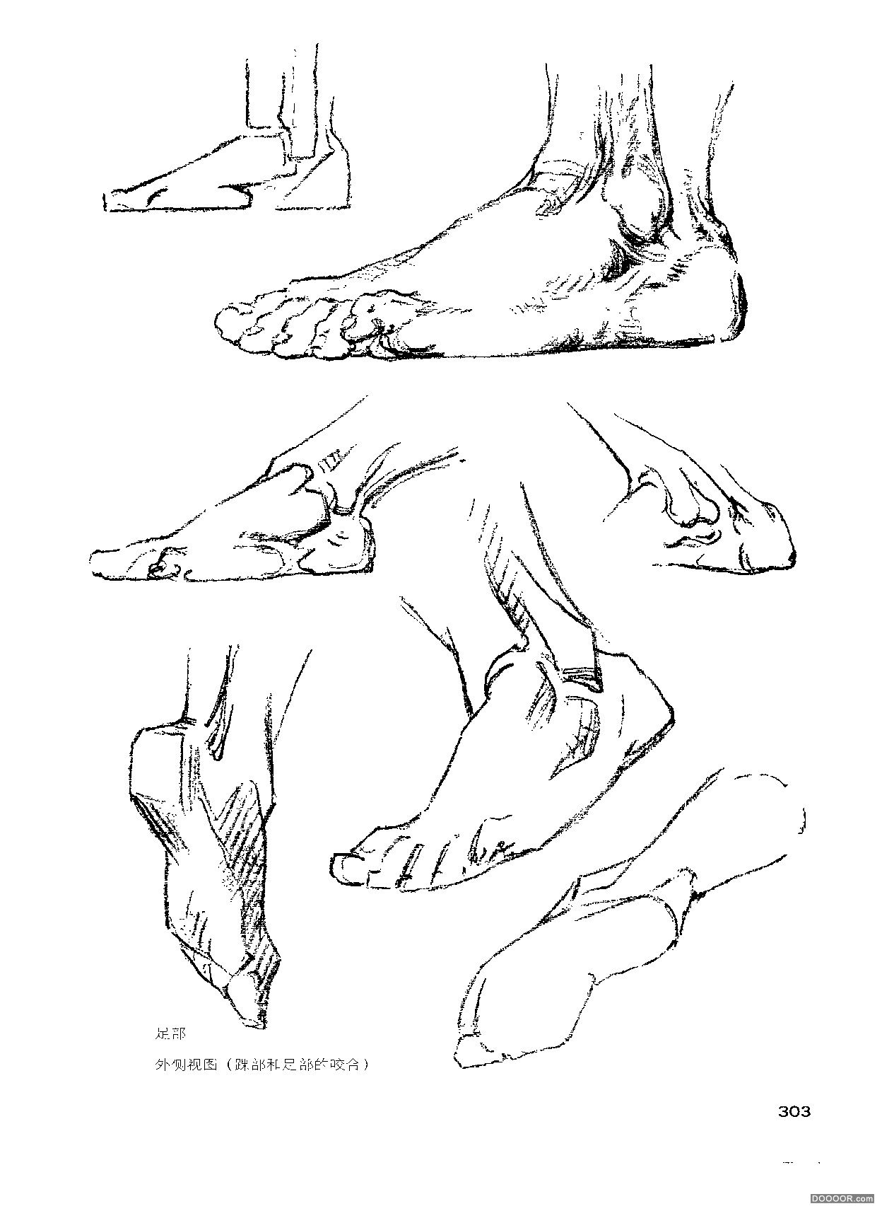 伯里曼人体结构绘画 (306).jpg