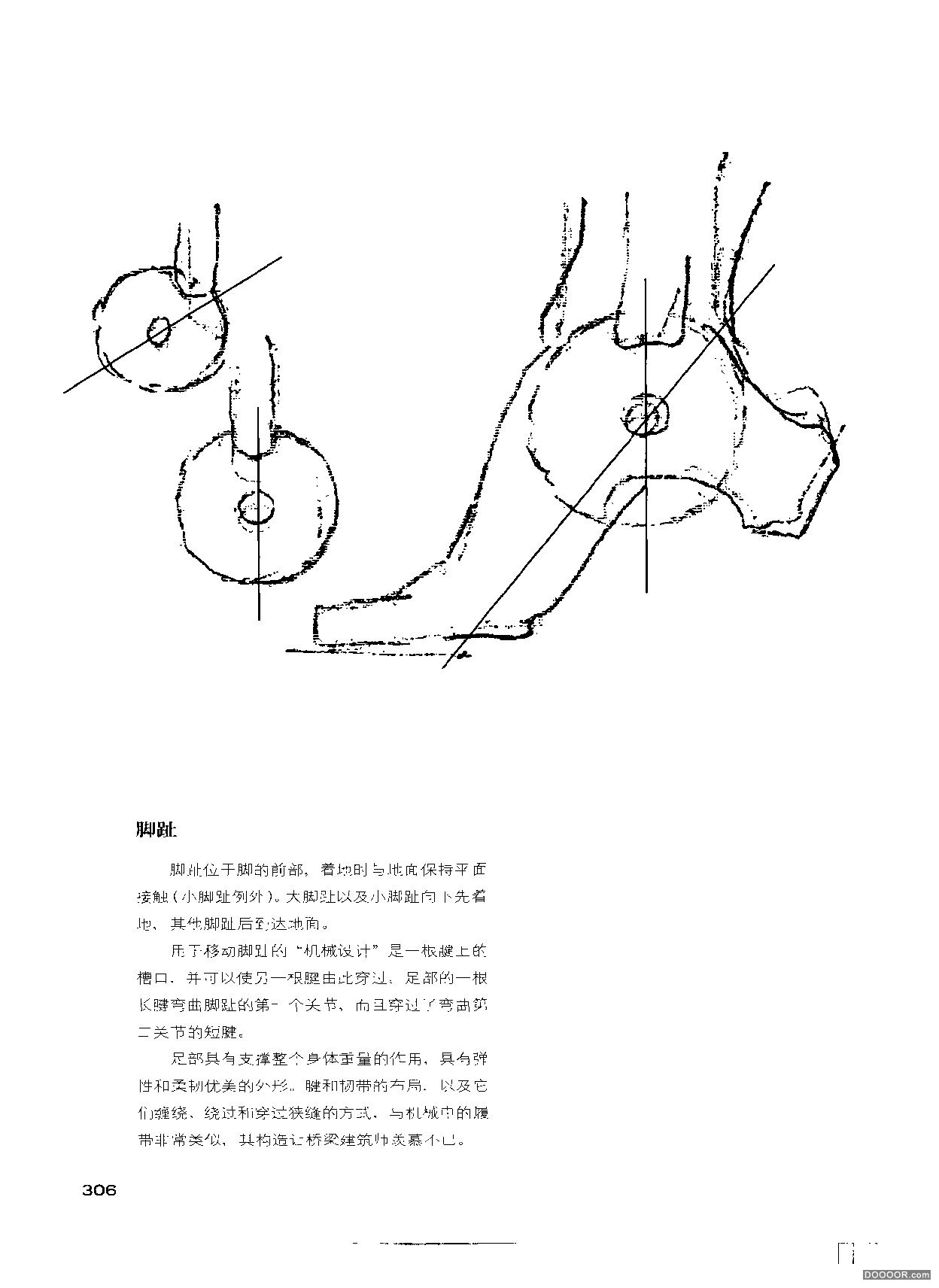 伯里曼人体结构绘画 (308).jpg