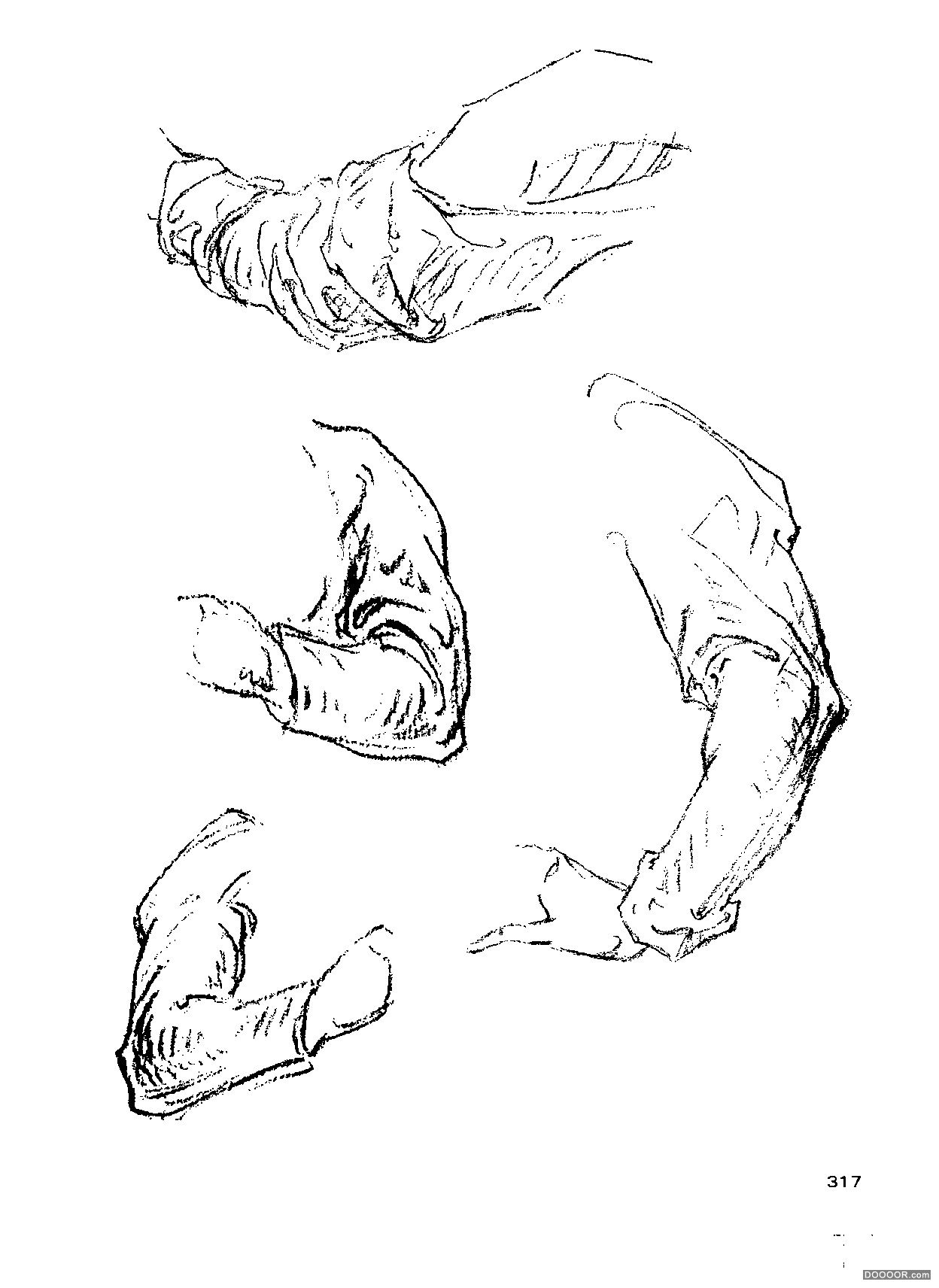伯里曼人体结构绘画 (319).jpg