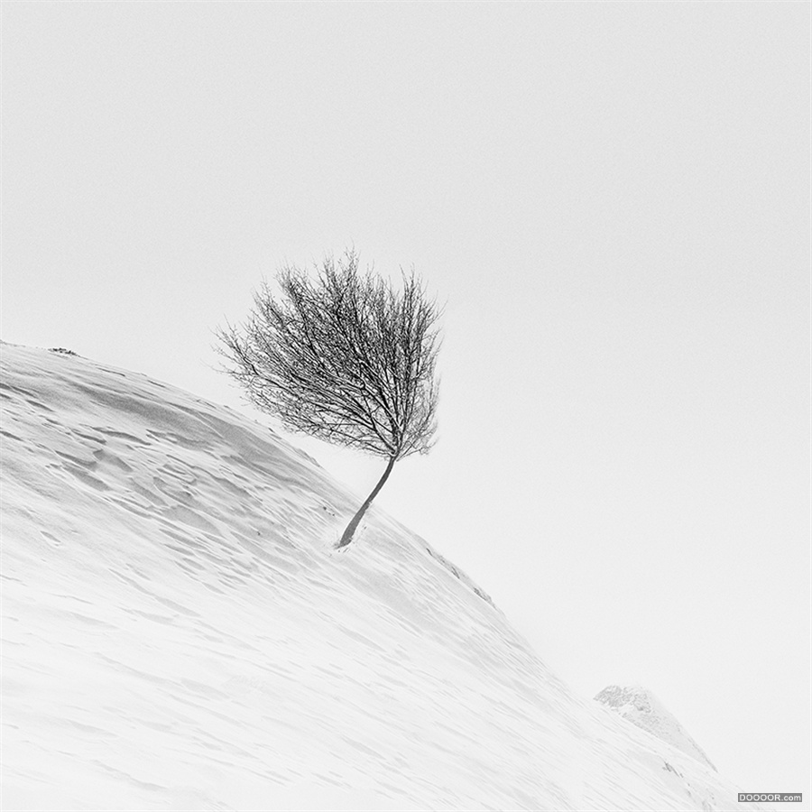 Vassilis Tangoulis [64P] (15).jpg