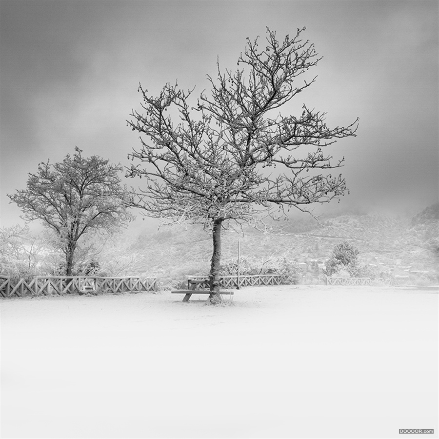 Vassilis Tangoulis [64P] (19).jpg