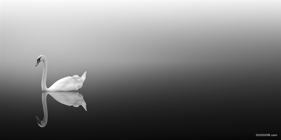 Vassilis Tangoulis [64P] (62).jpg