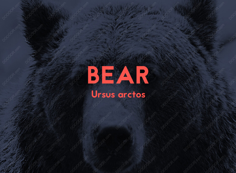 Jaapokki-font-package-1.0  [13P] (4).jpg