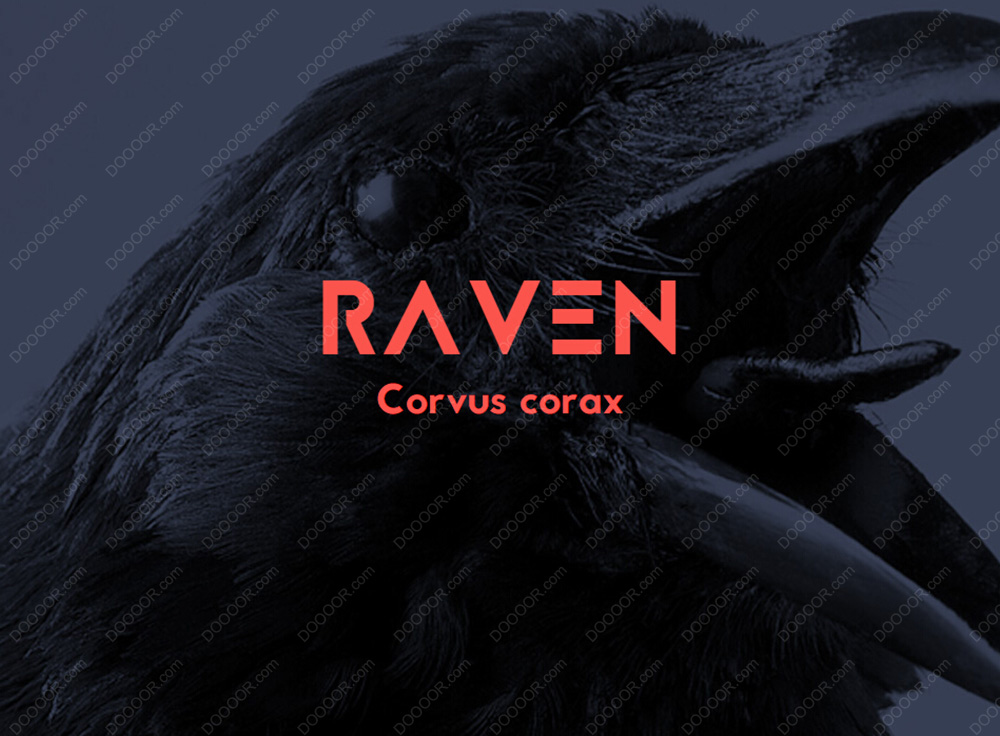 Jaapokki-font-package-1.0  [13P] (7).jpg