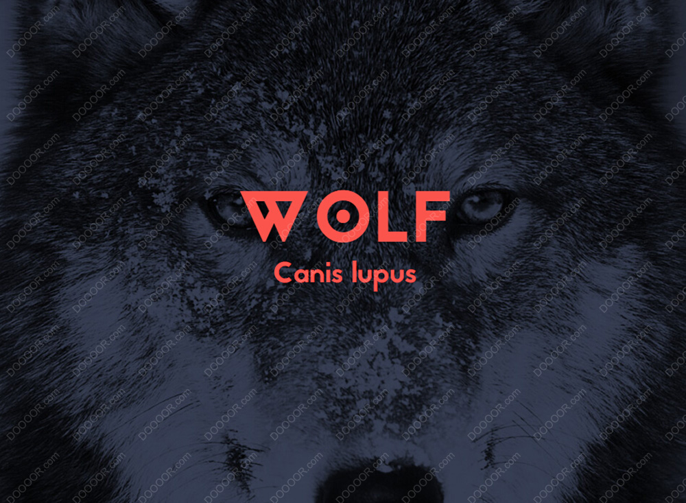 Jaapokki-font-package-1.0  [13P] (8).jpg