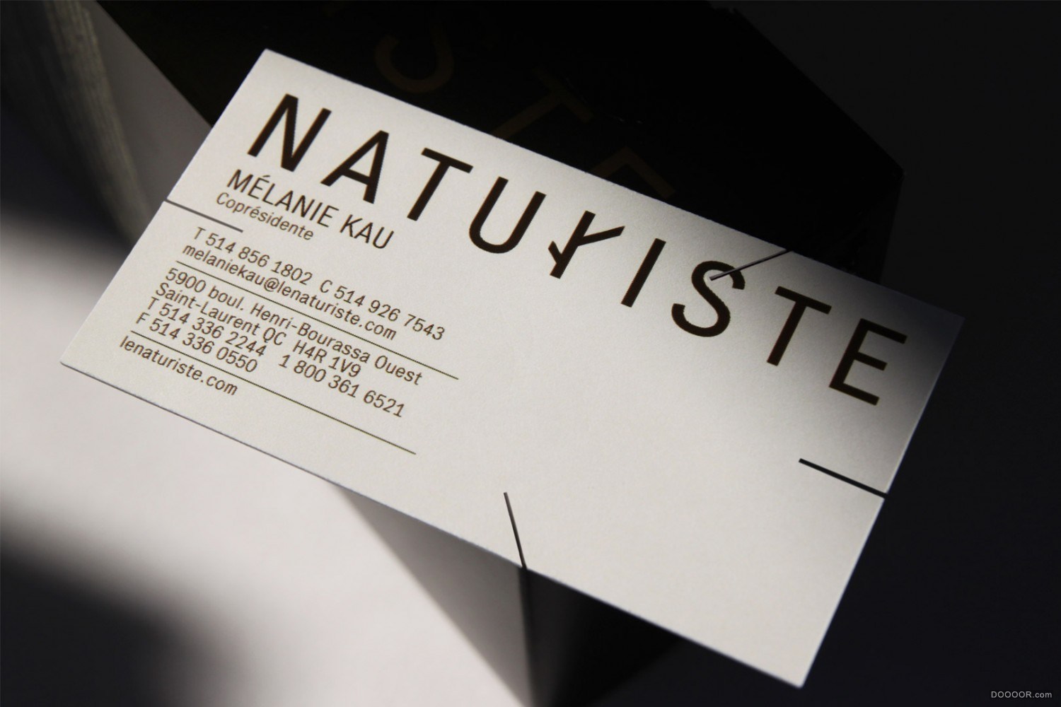 NATURISTE INDENTITE BRAND-Paprika Studio [22P] (2).jpg