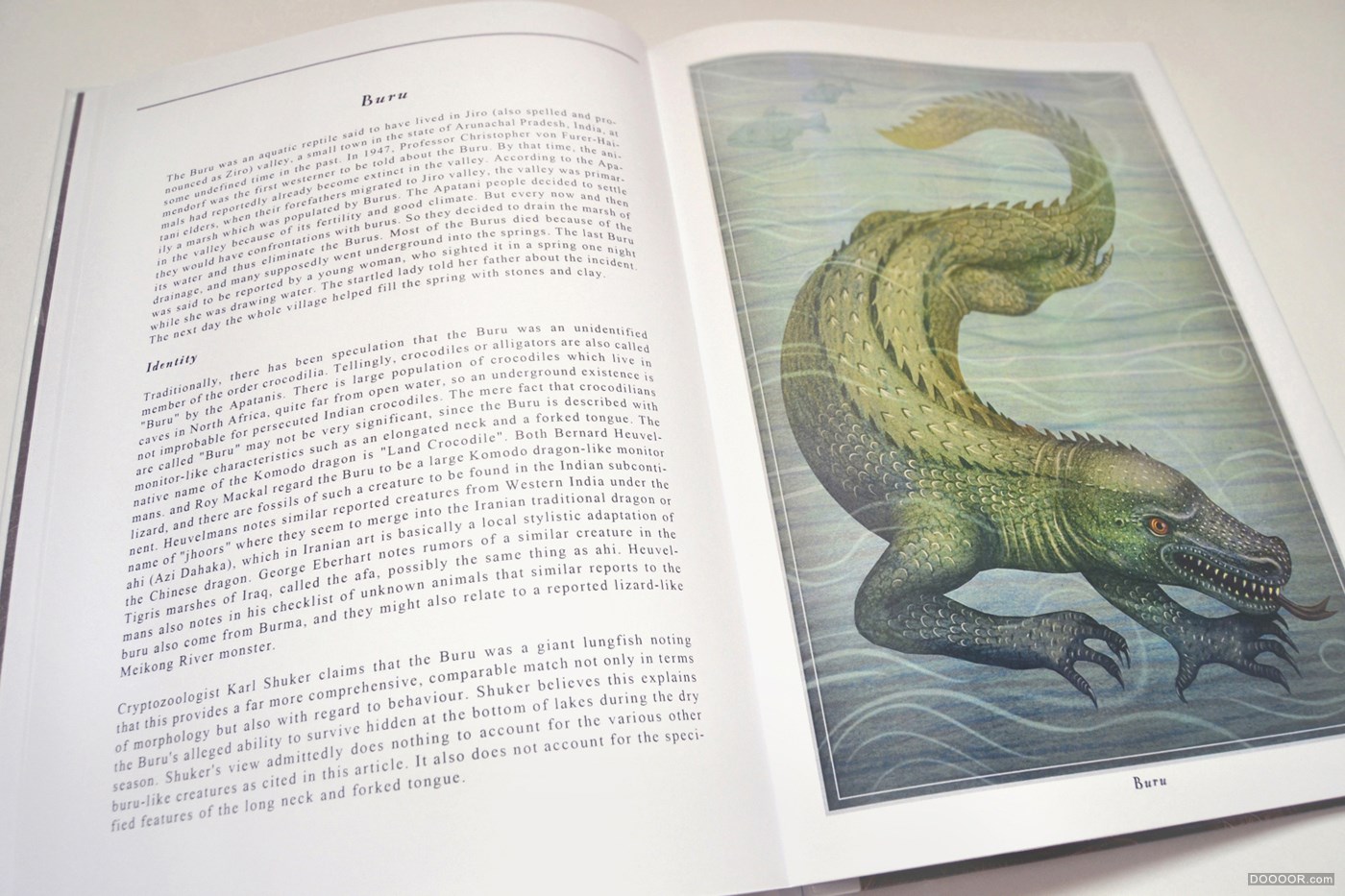 神秘动物学百科全书插画-VLADIMIR stankovic [19P] (17).jpg