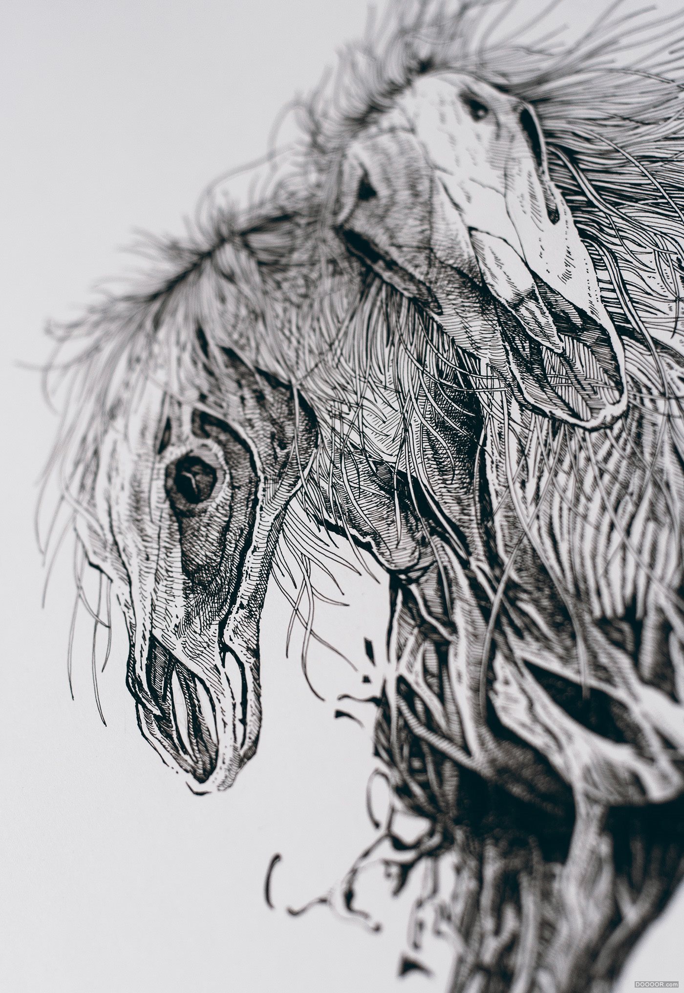 动物骷髅针管笔插画-Mikolaj Cielniak [35P] (4).jpg