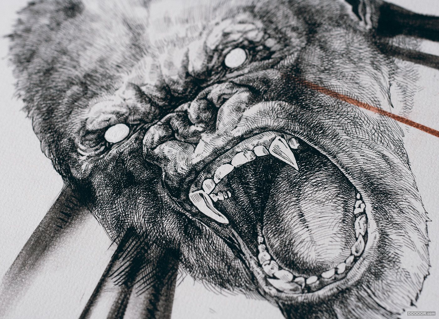 动物骷髅针管笔插画-Mikolaj Cielniak [35P] (10).jpg