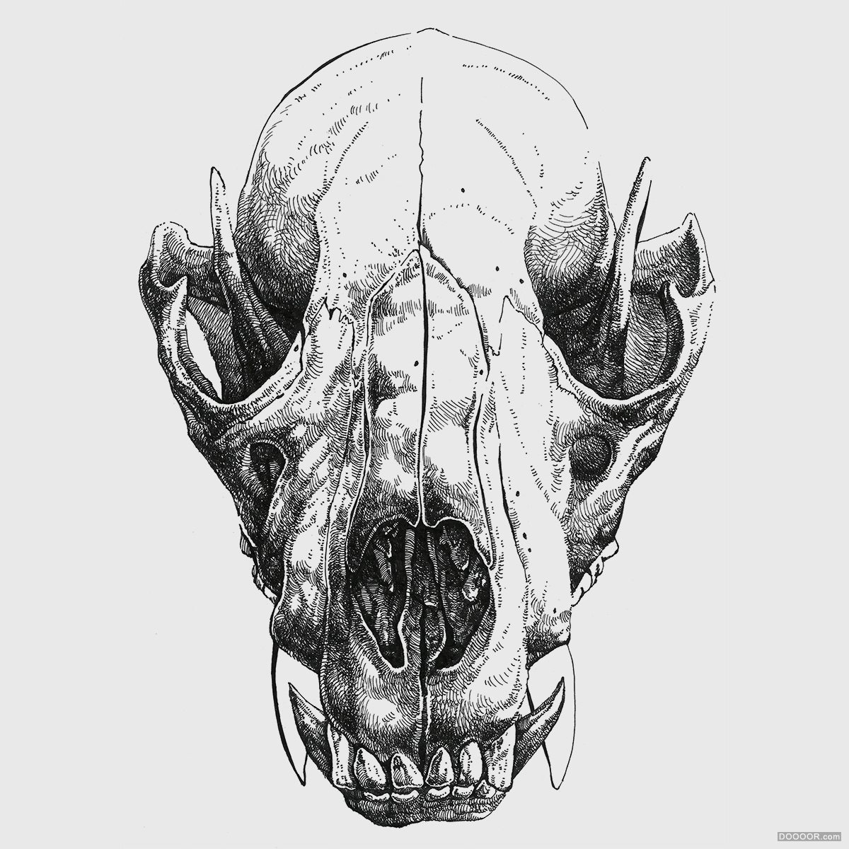 动物骷髅针管笔插画-Mikolaj Cielniak [35P] (15).jpg
